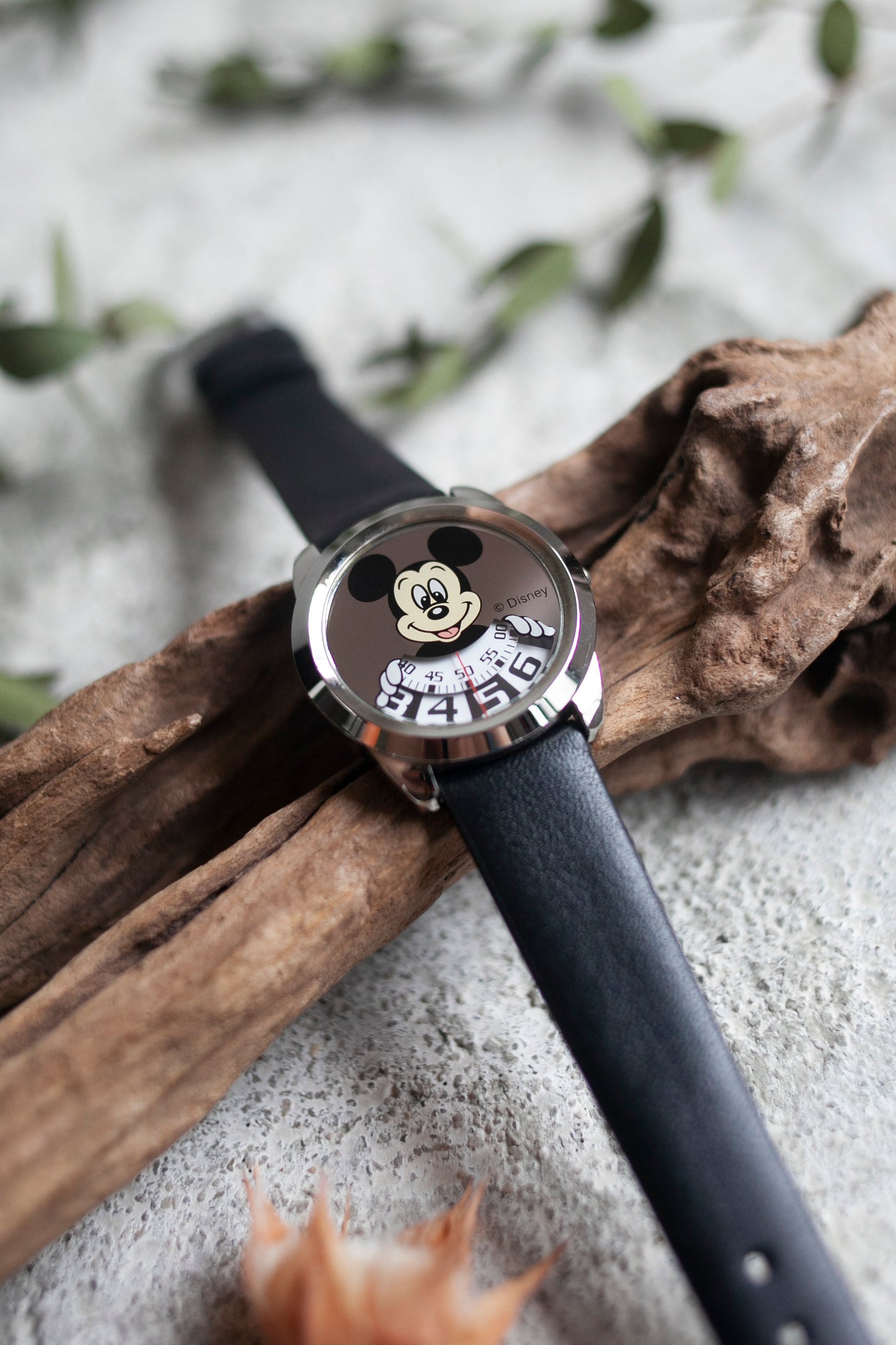 Premium Vintage: Mickey Mirrored