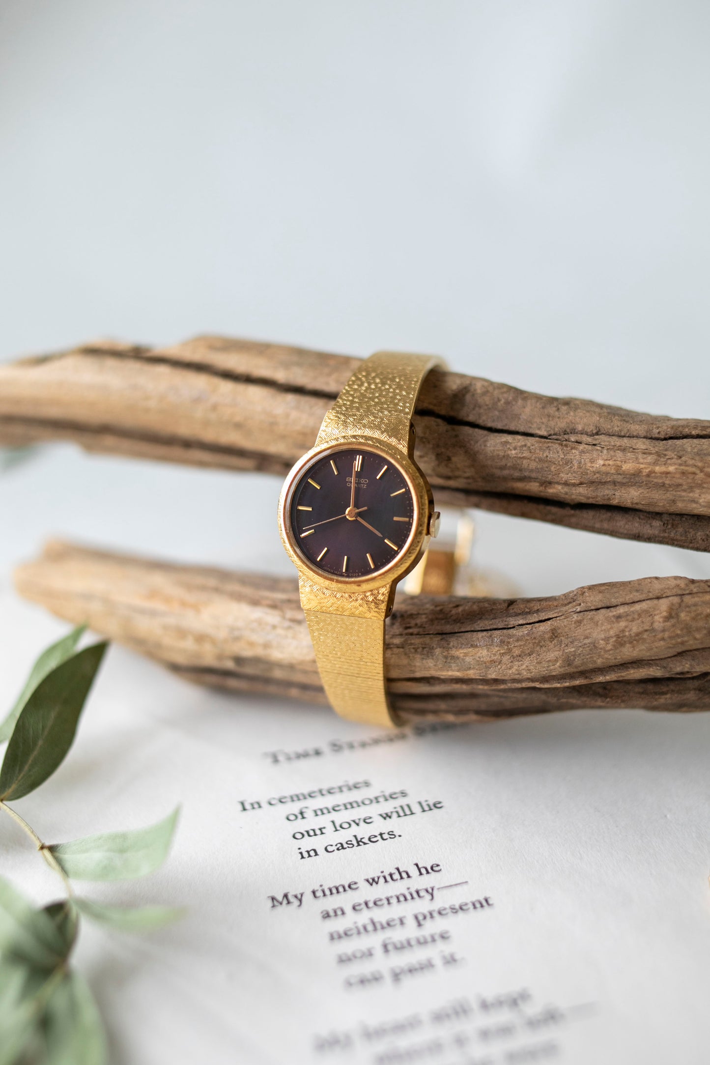 True Vintage: Seiko S172