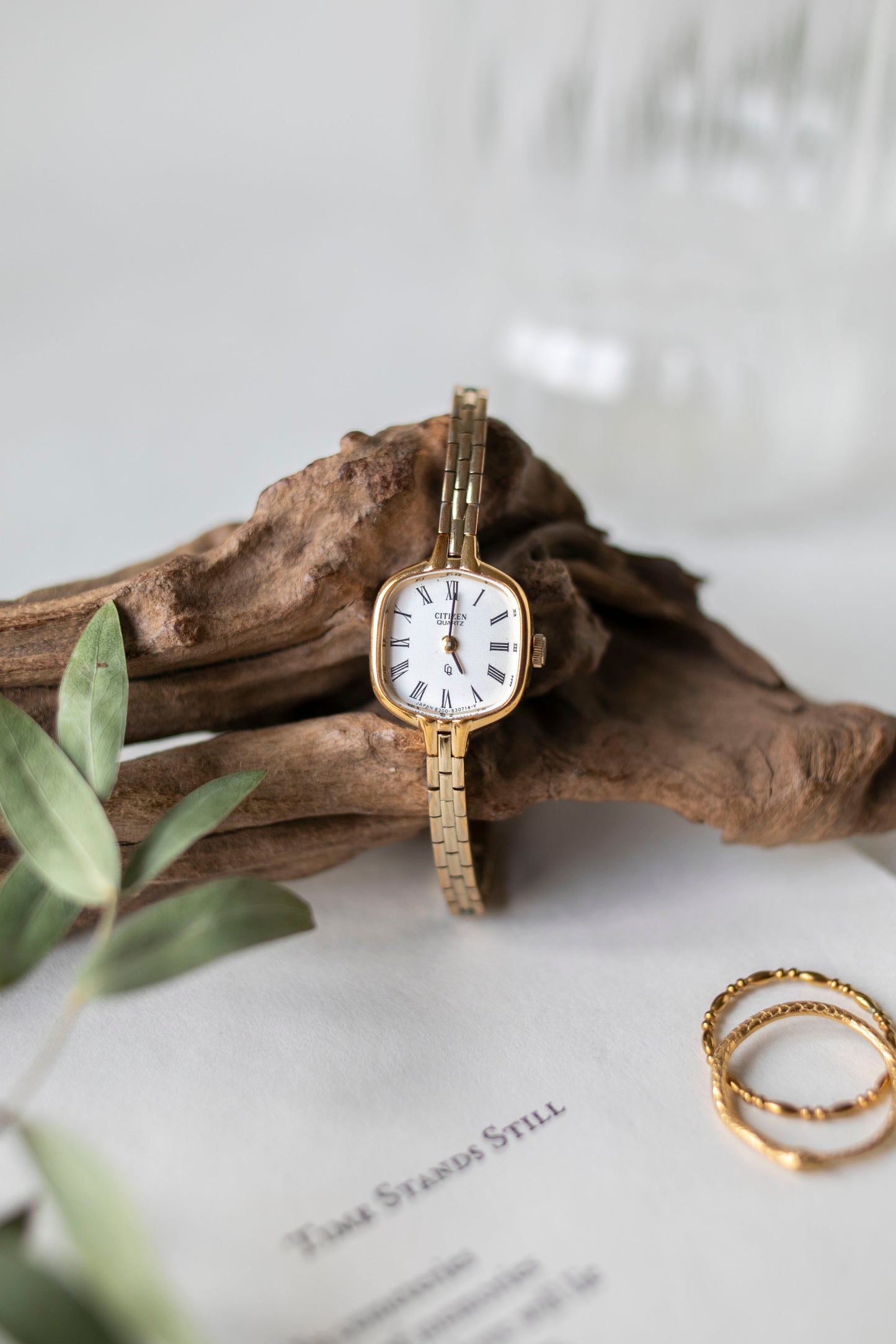 True Vintage: Citizen C1