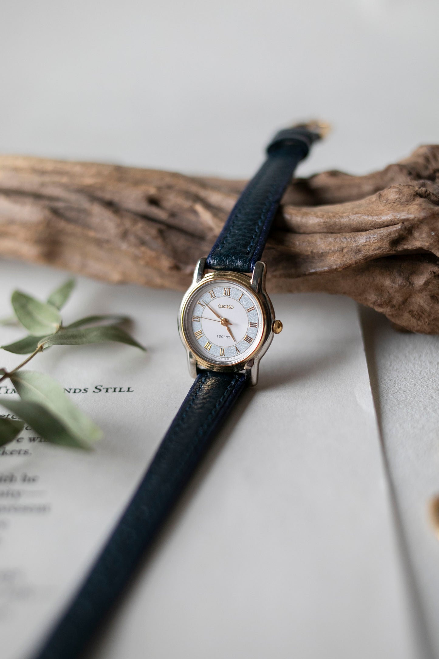 True Vintage: Seiko S282