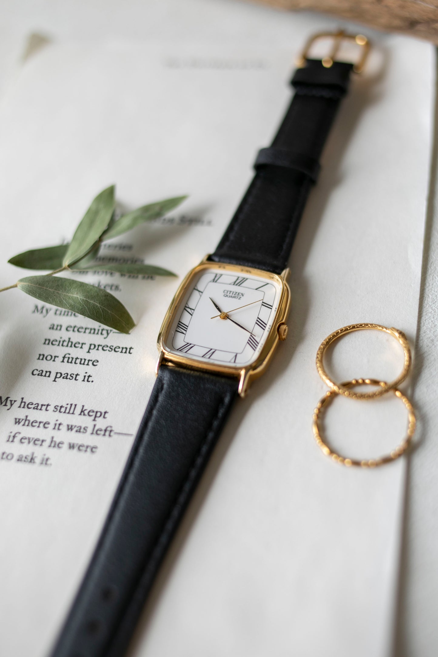 True Vintage: Citizen C31