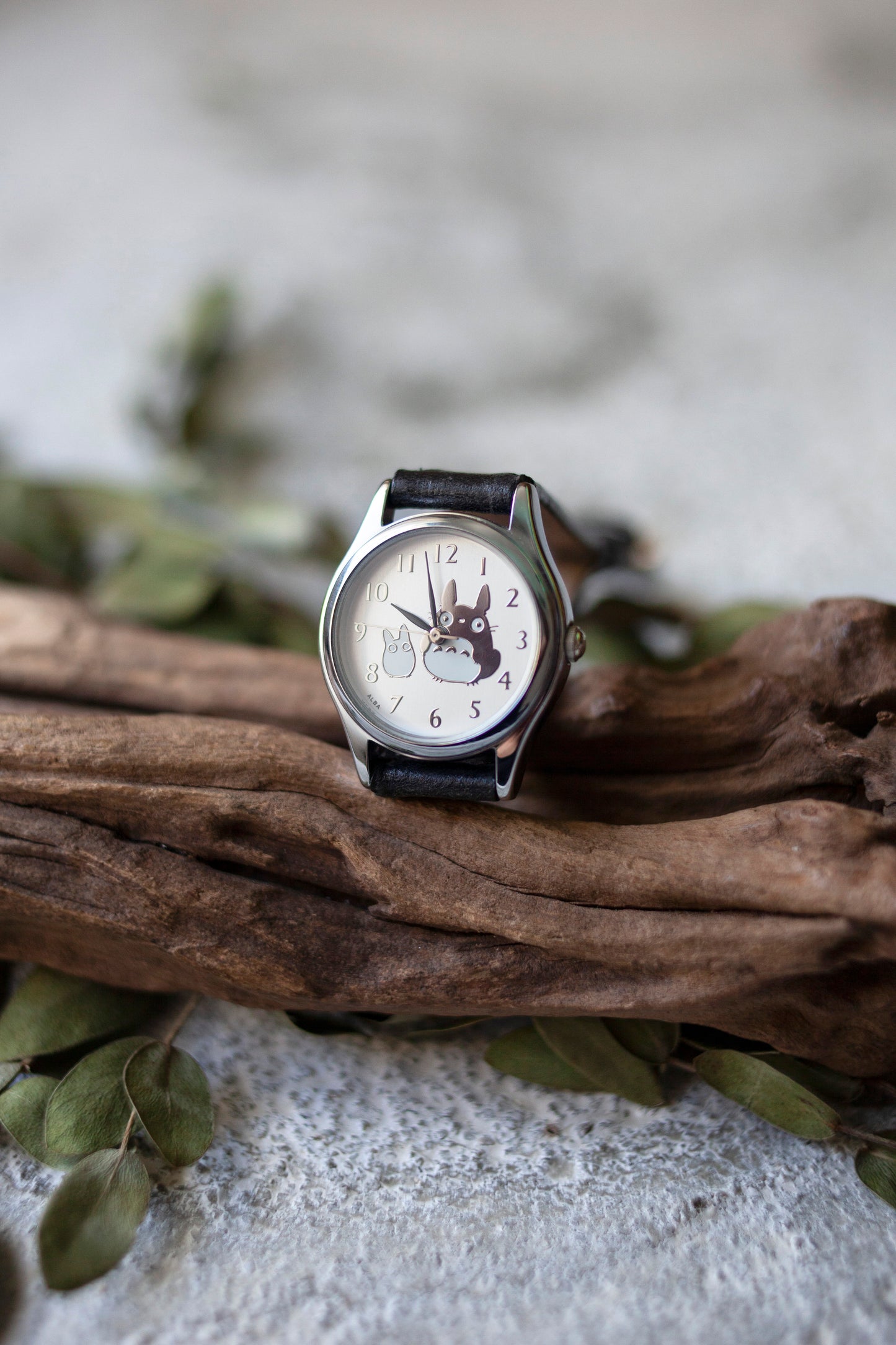 True Vintage: Totoro Silver