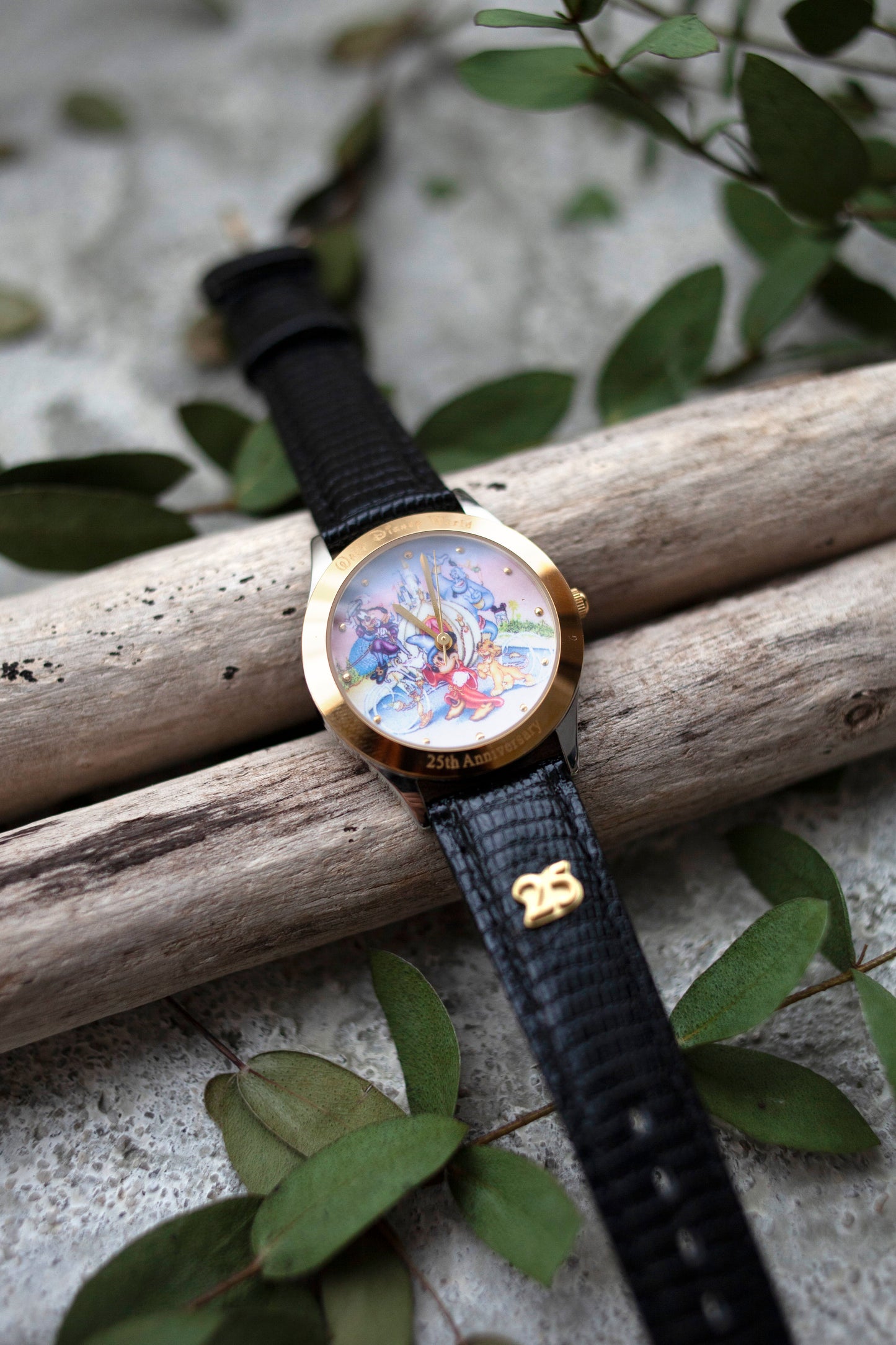 Premium Vintage: Walt Disney 25th Anniversary