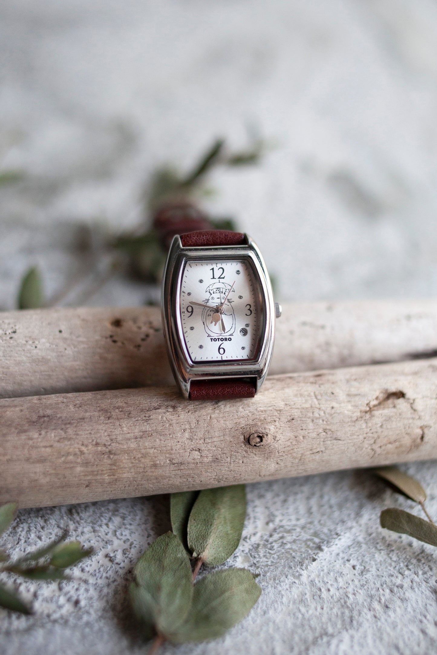 True Vintage: Totoro Angular