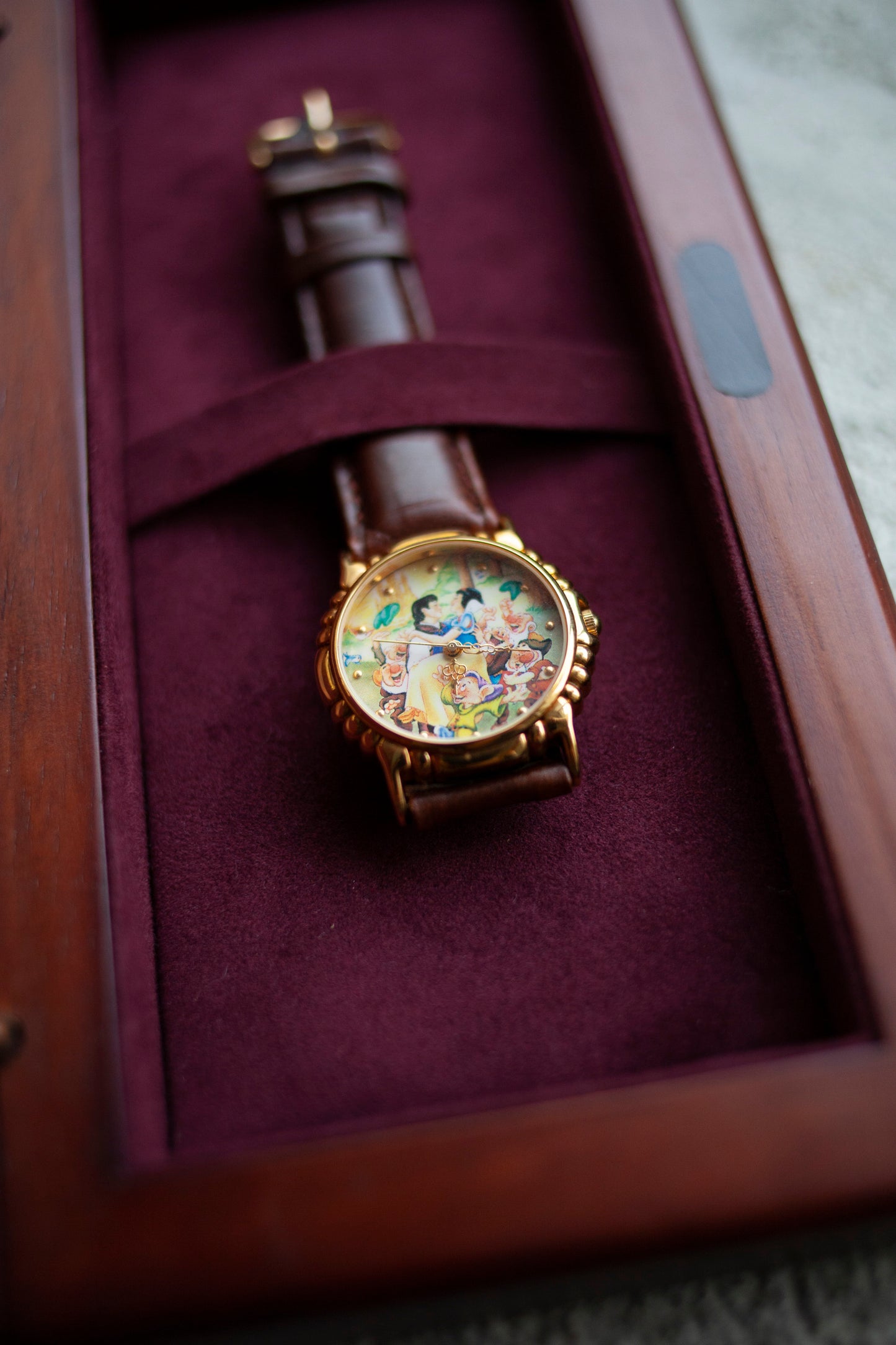 Premium Vintage: Limited Edition Some Day My Prince Will Come