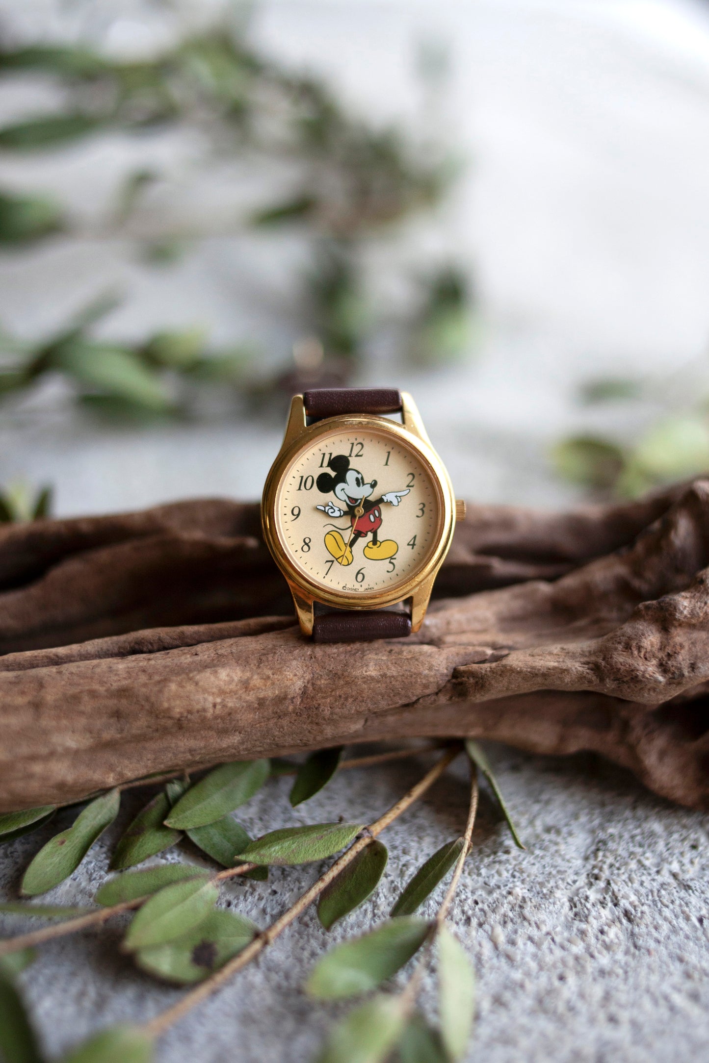 True Vintage: Mickey Classic