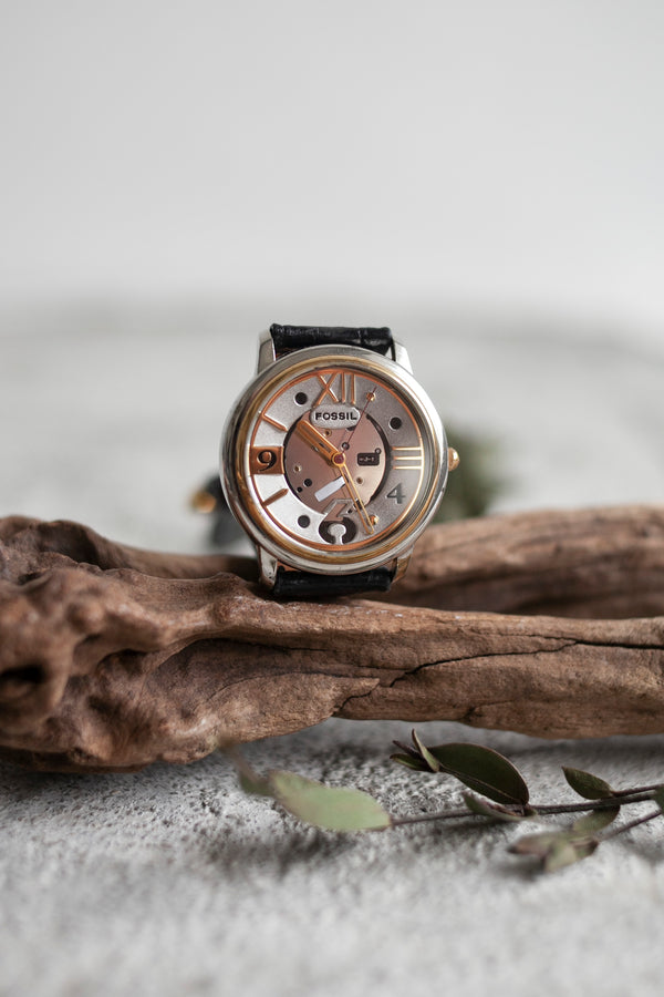 True Vintage: Fossil Clarity