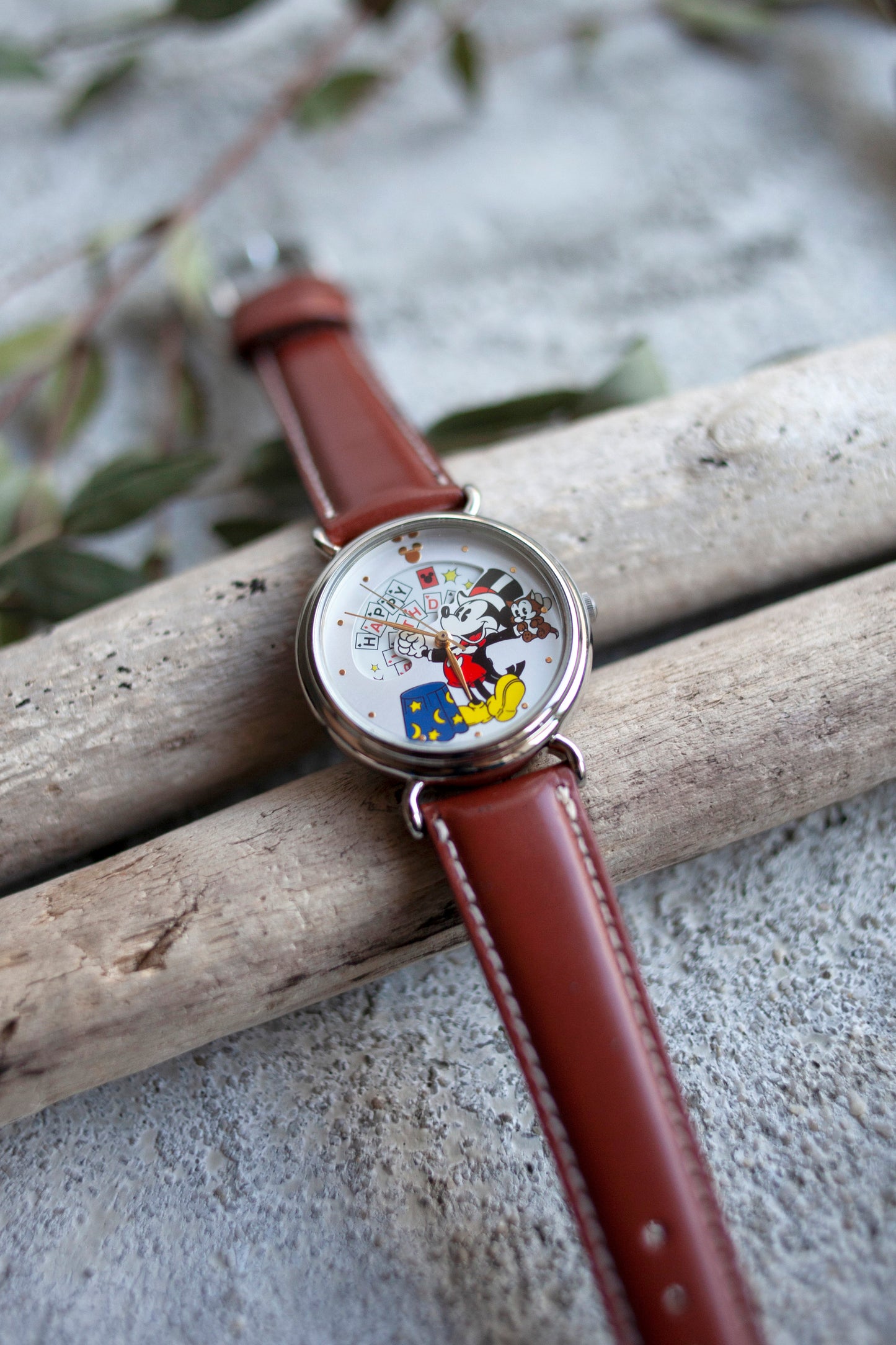 Premium Vintage: Magician Mickey's Birthday (1997)