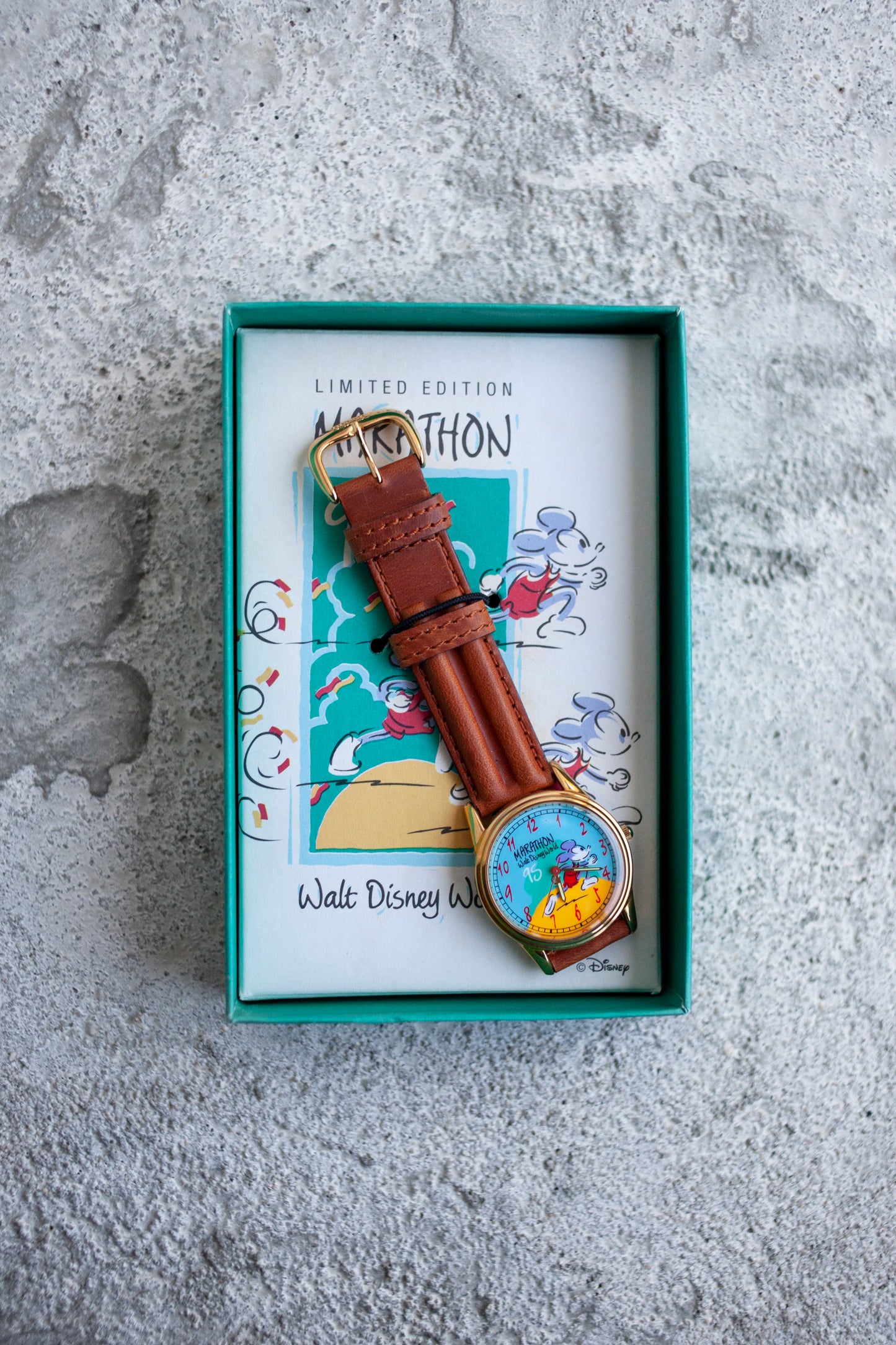 Premium Vintage: Disney Marathon 1995