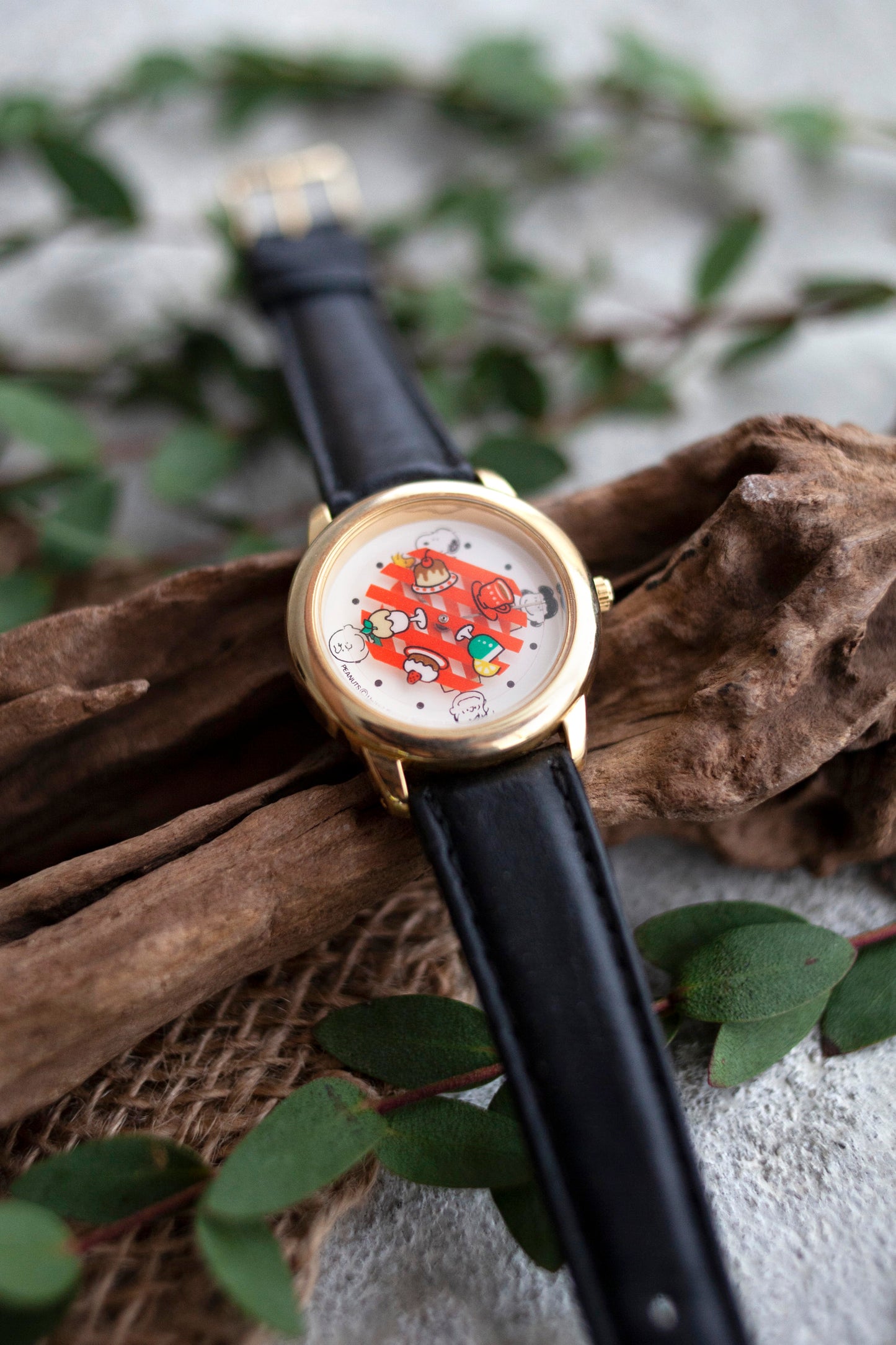 True Vintage: Snoopy Picnic