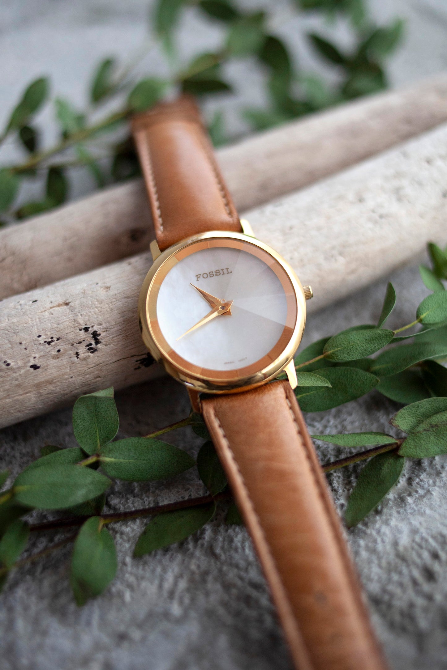 True Vintage: Fossil Pearlescent