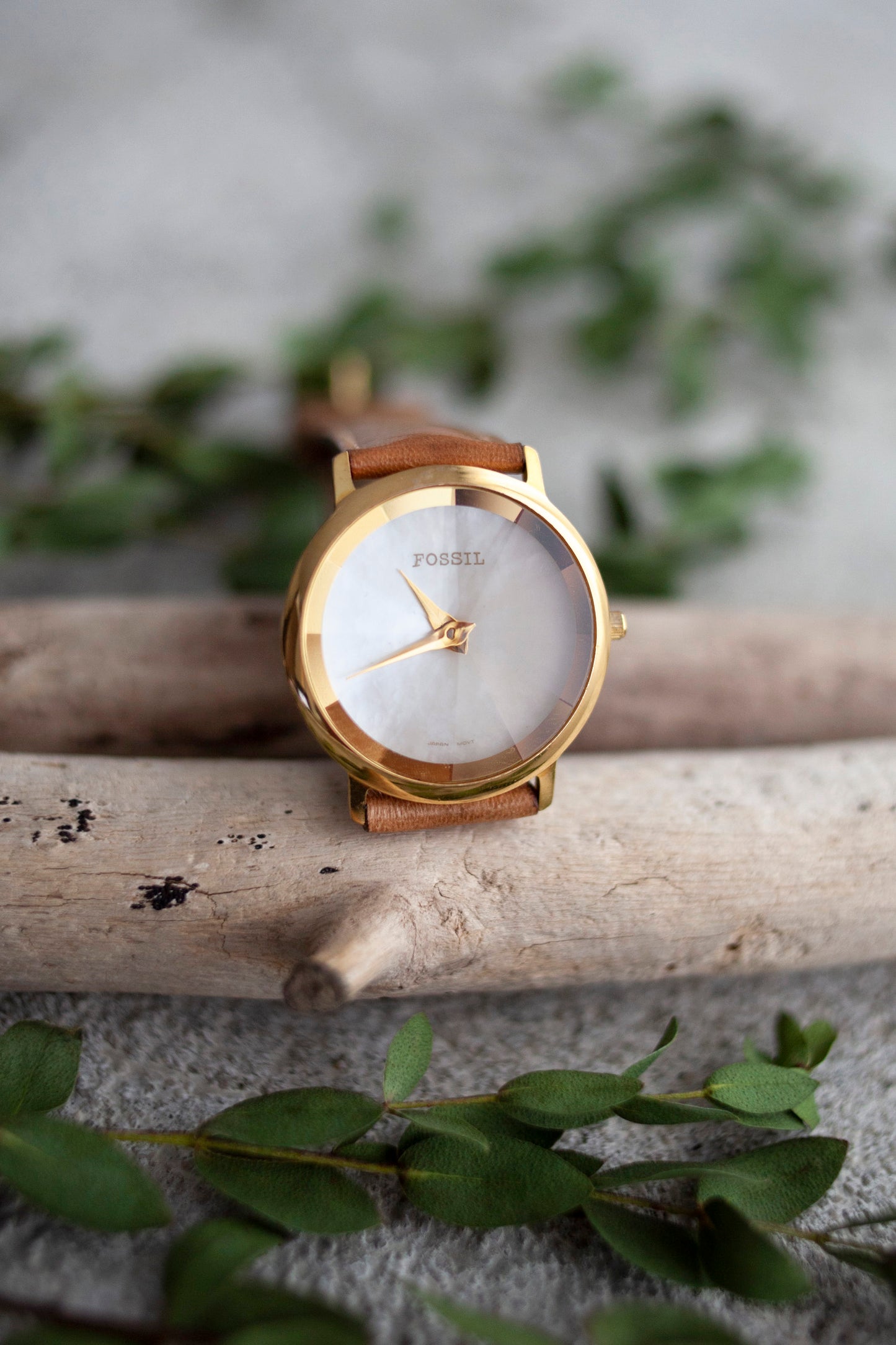 True Vintage: Fossil Pearlescent