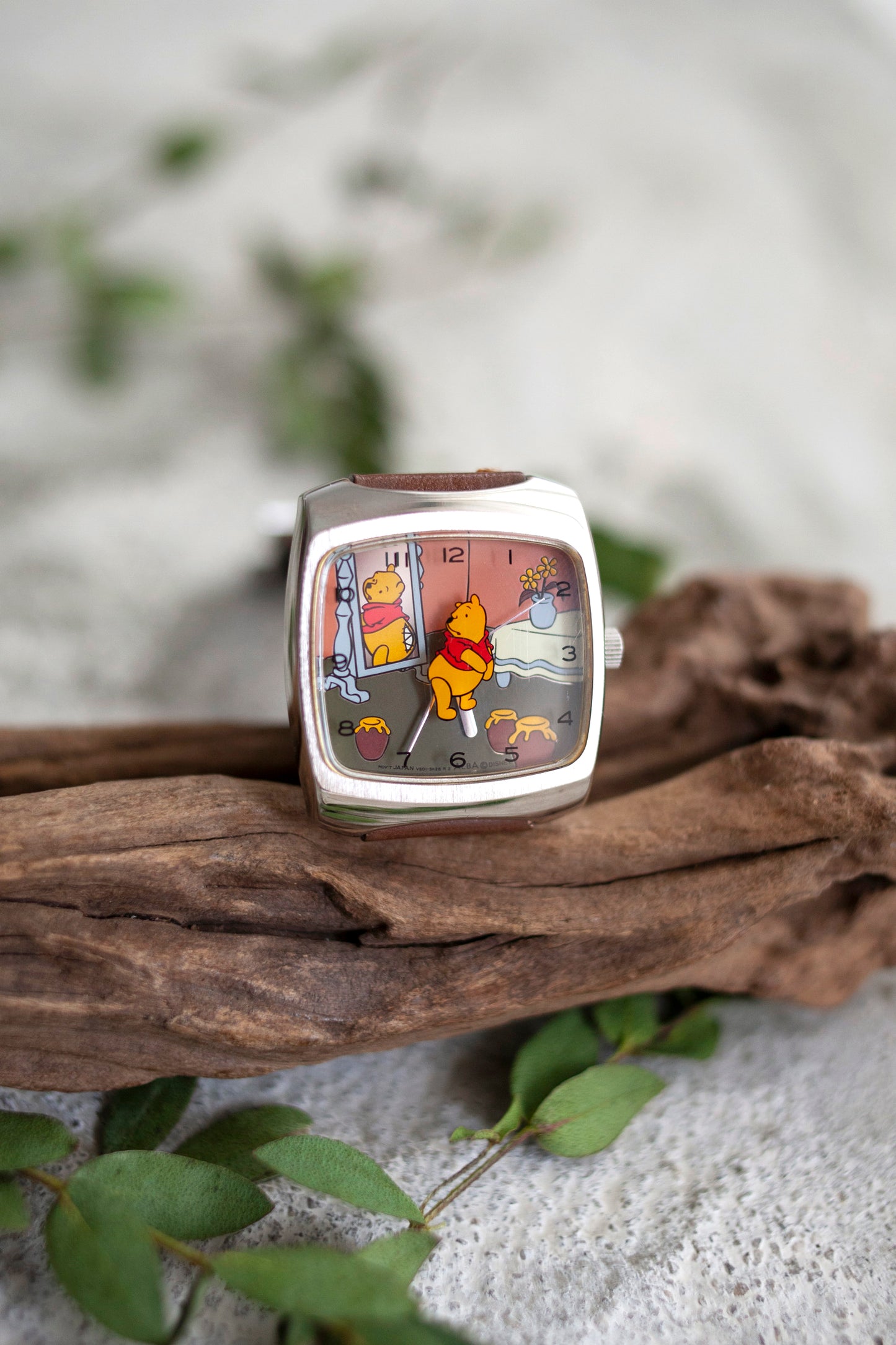 True Vintage: Pooh's Reflection