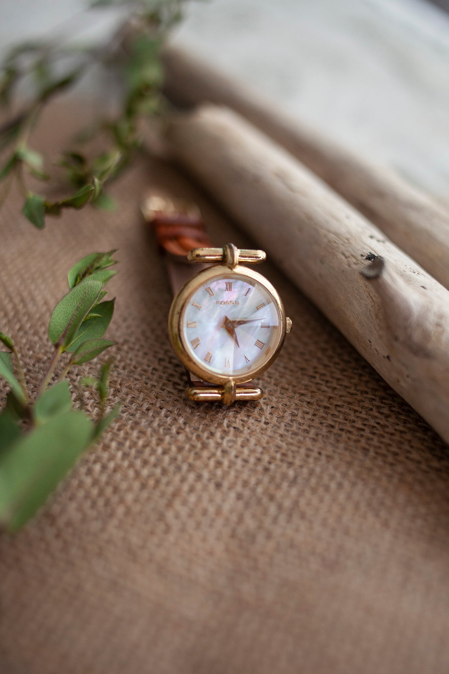 True Vintage: Fossil Shimmer