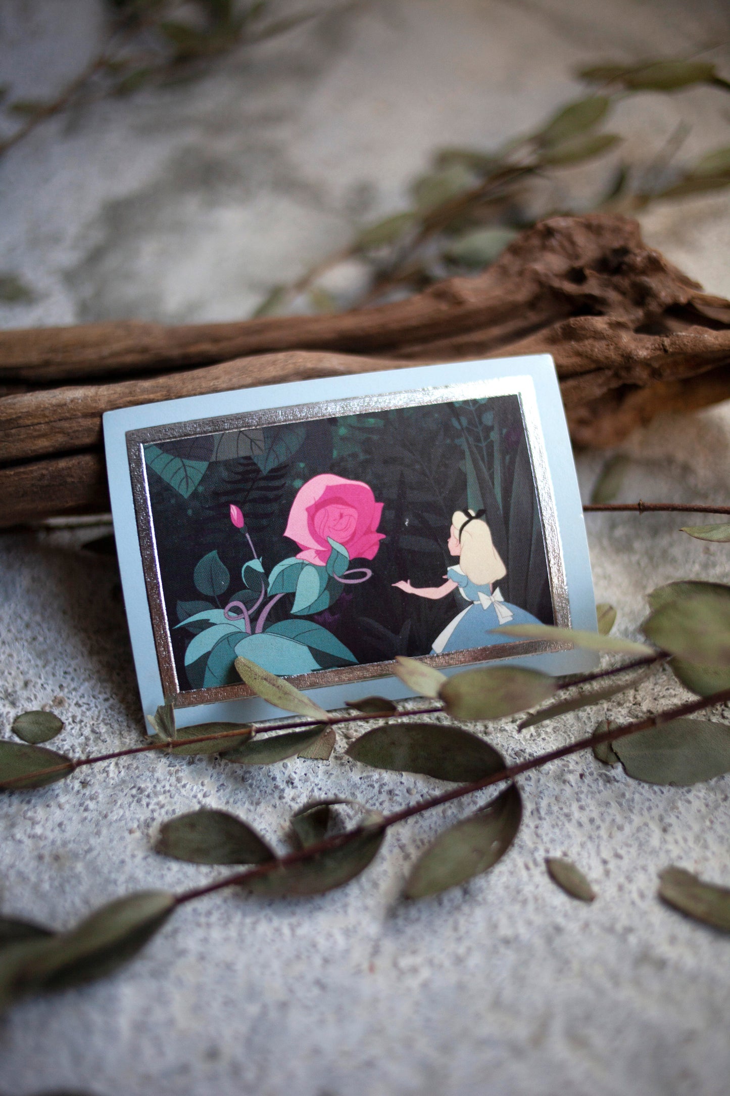 Premium Vintage: Alice in a Teacup