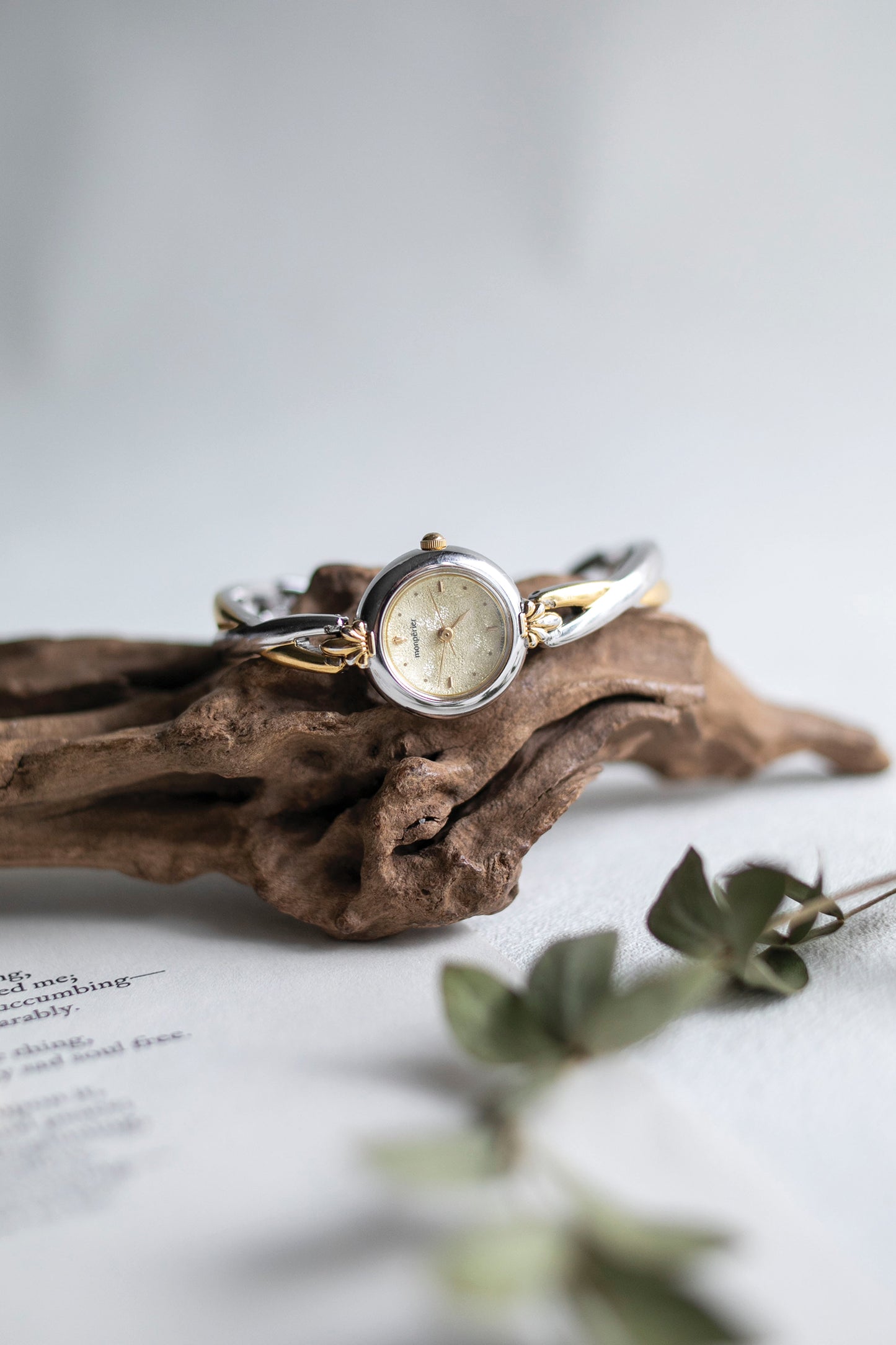 True Vintage: Ricoh Spark