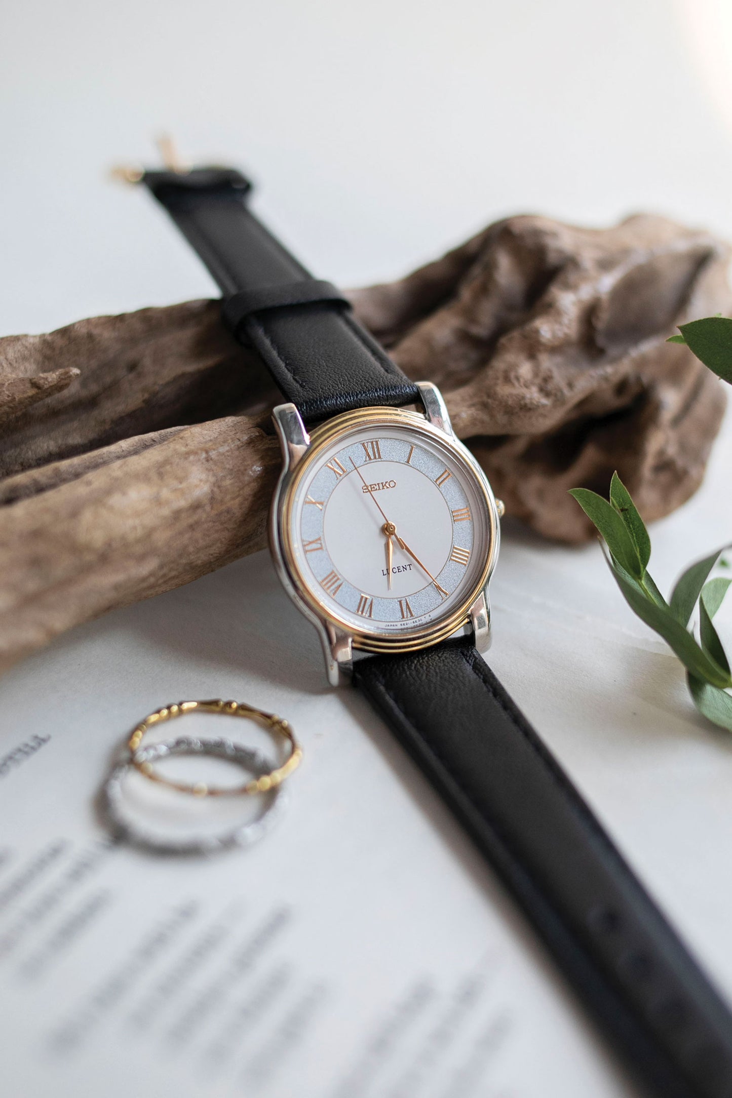 True Vintage: Seiko Sky
