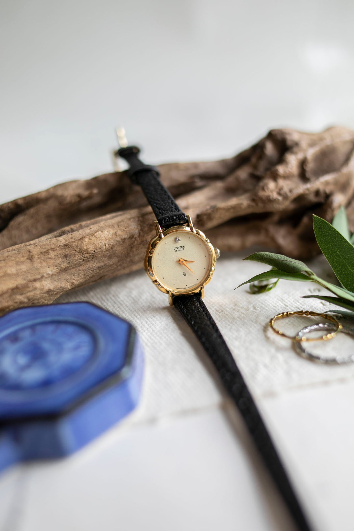 True Vintage: Citizen C105