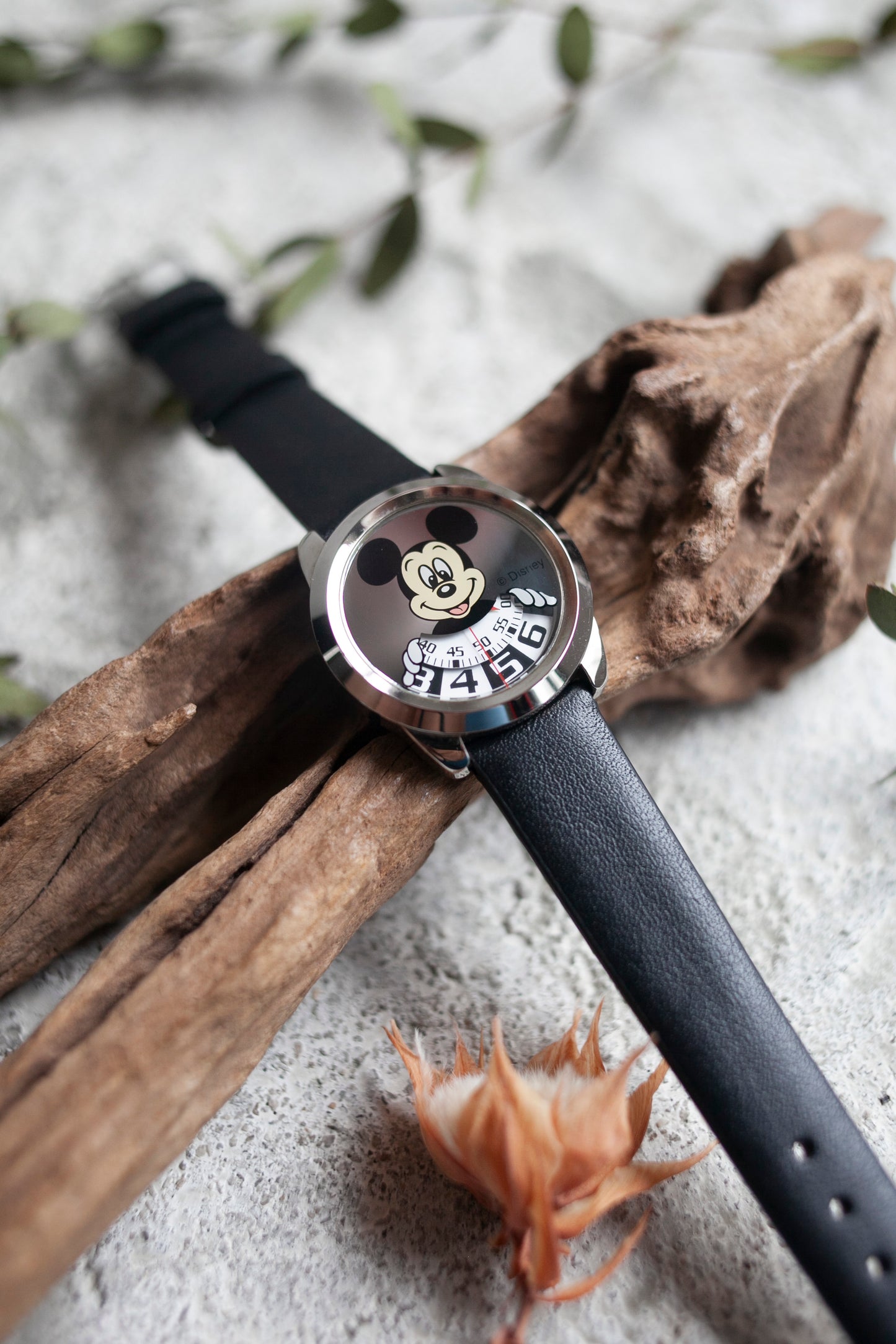 Premium Vintage: Mickey Mirrored