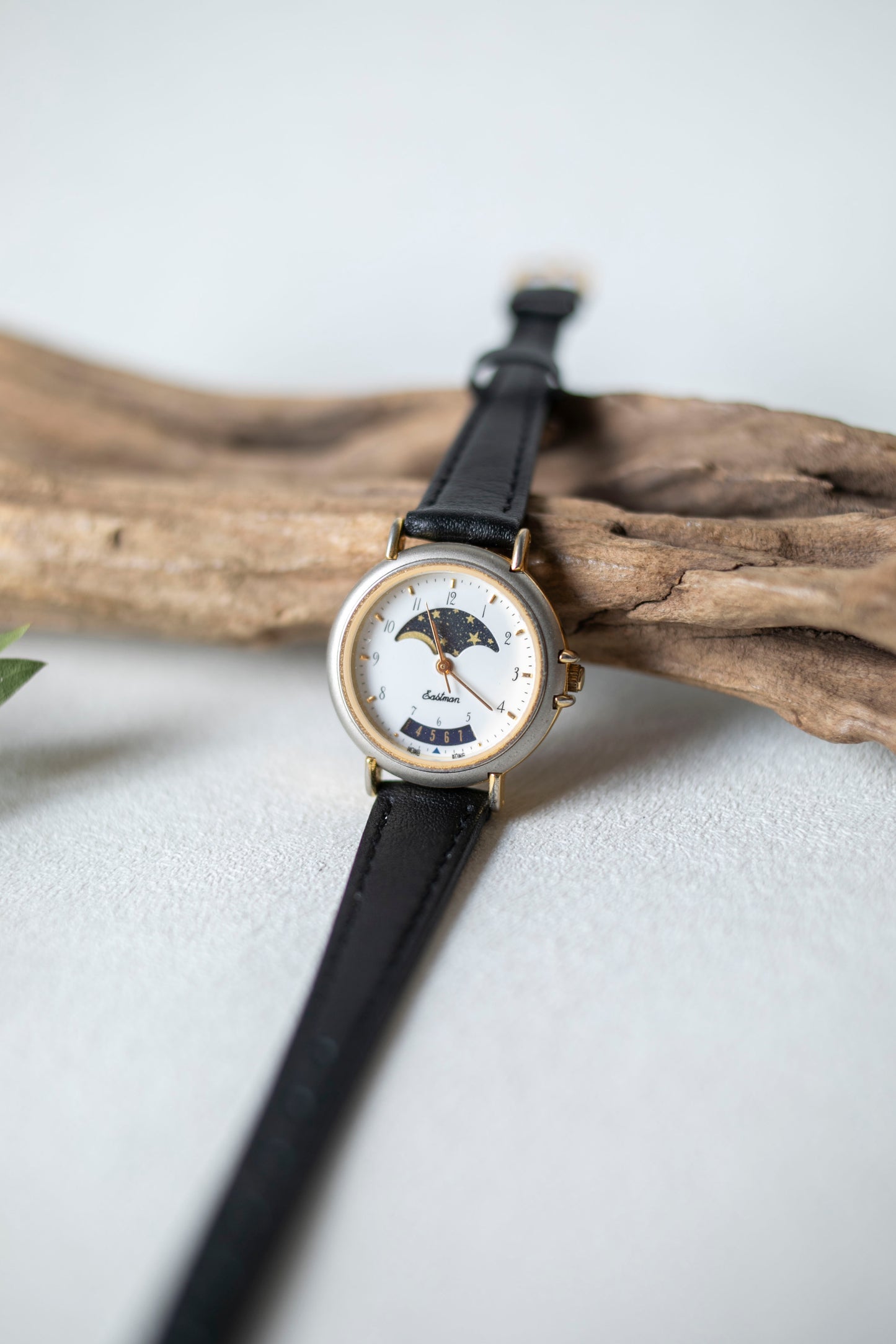 True Vintage: Eastman MP28