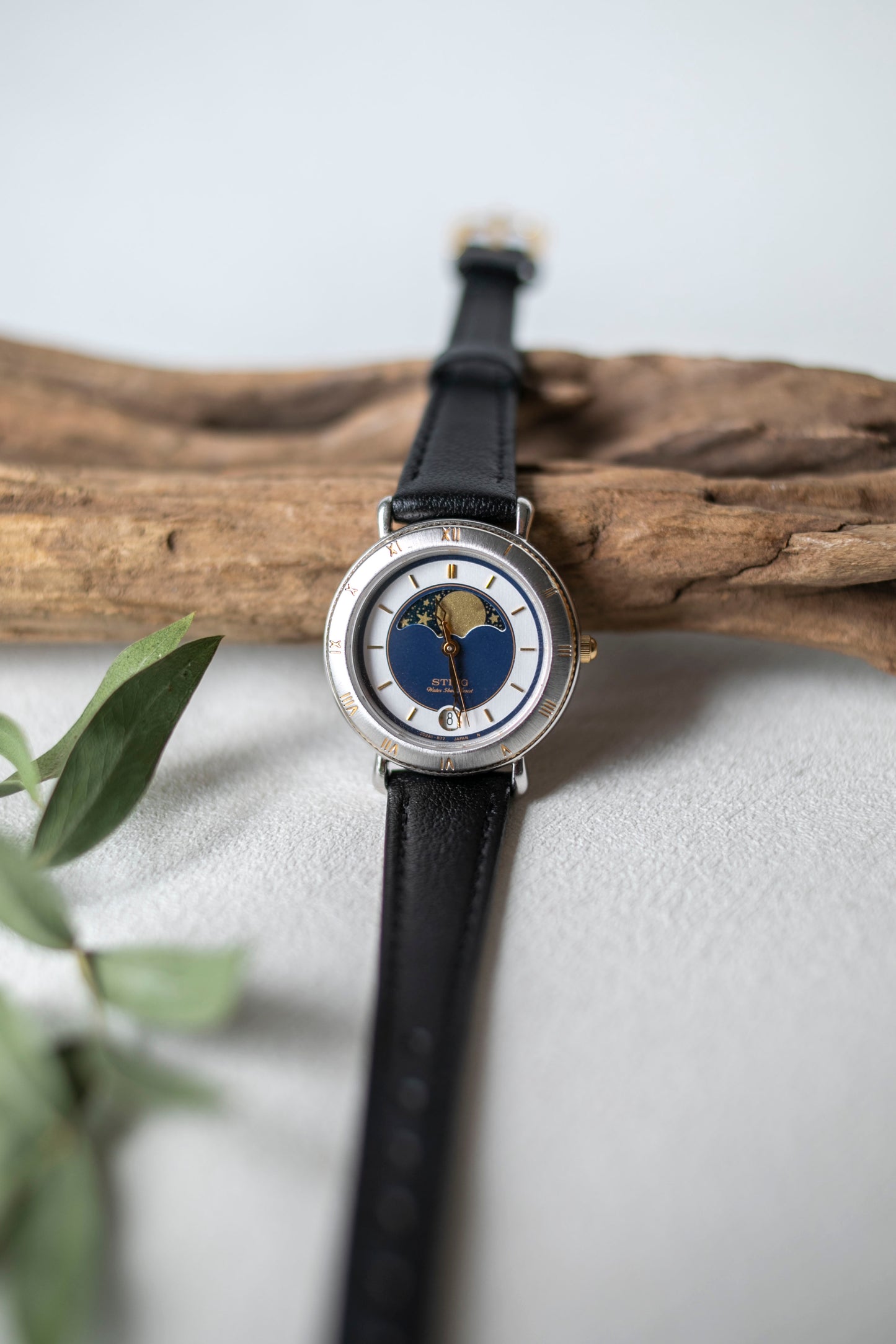 True Vintage: Casio MP12