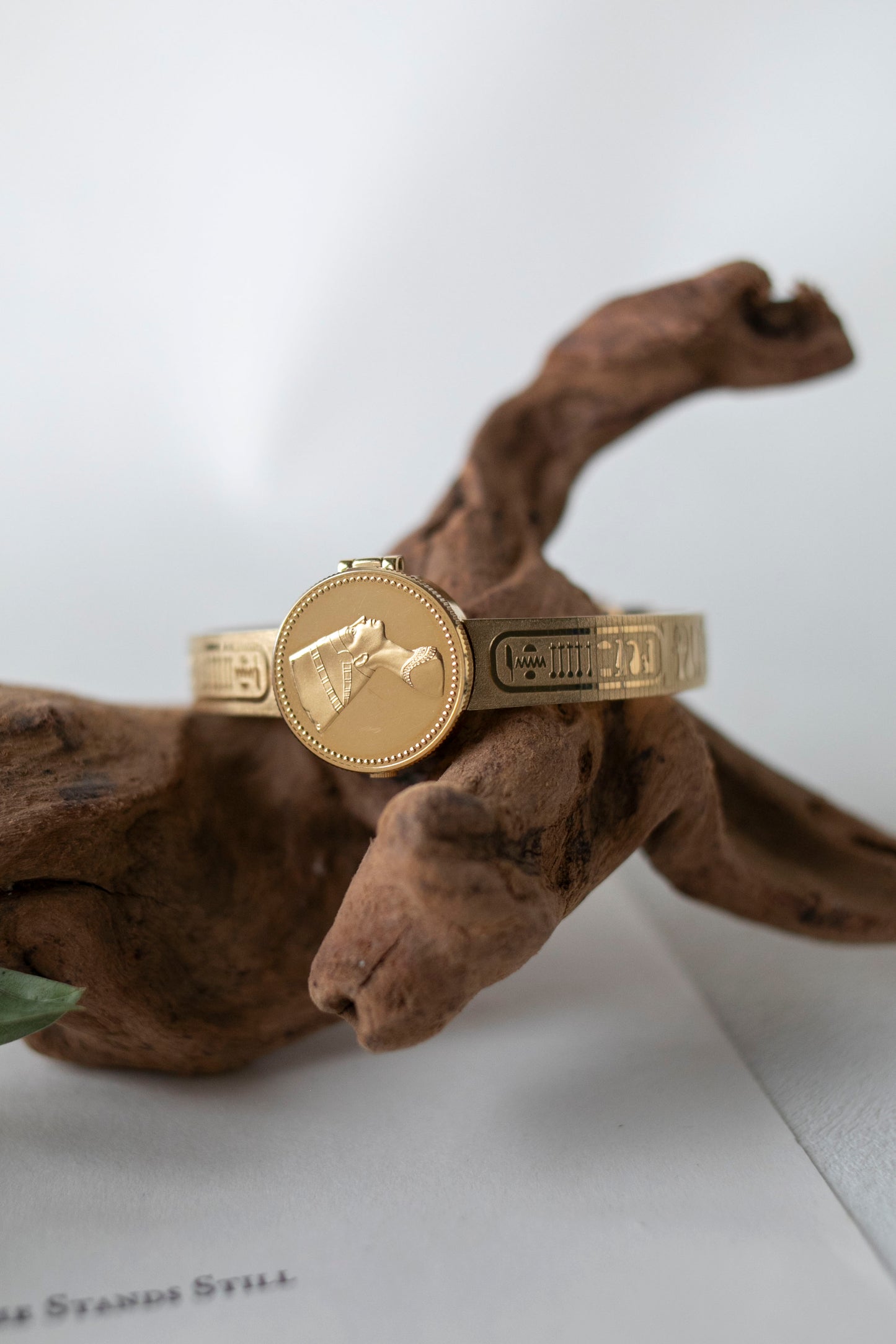 True Vintage: Seiko S204