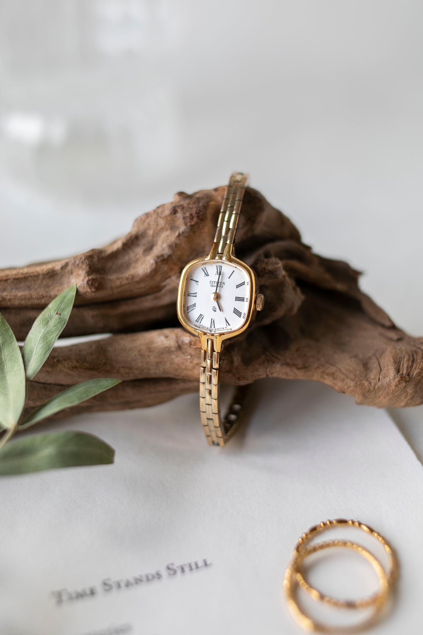 True Vintage: Citizen C1