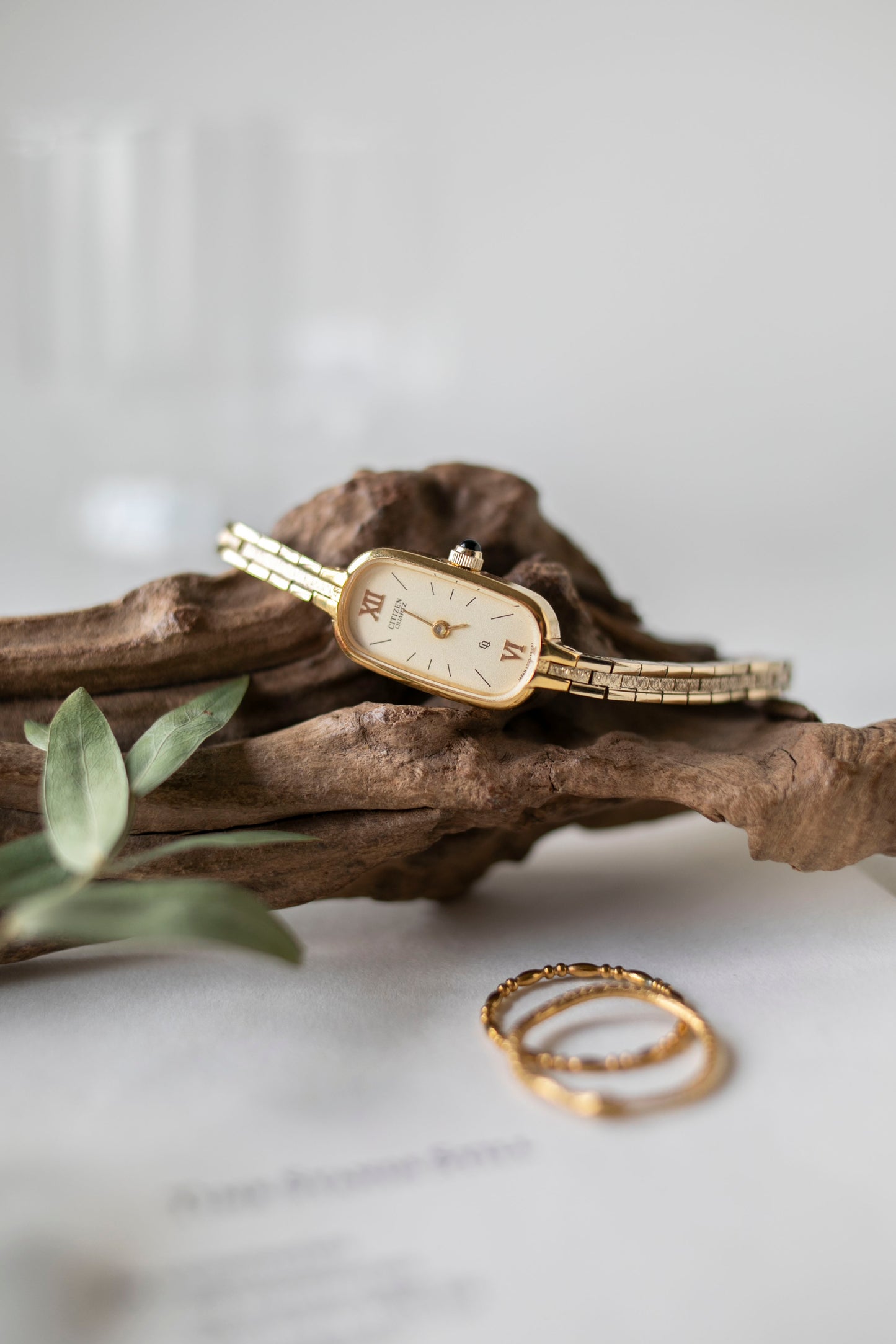 True Vintage: Citizen C2