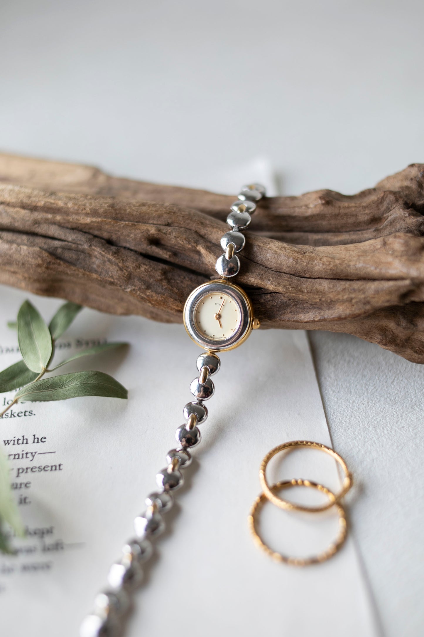 True Vintage: Citizen C10 (Silver)