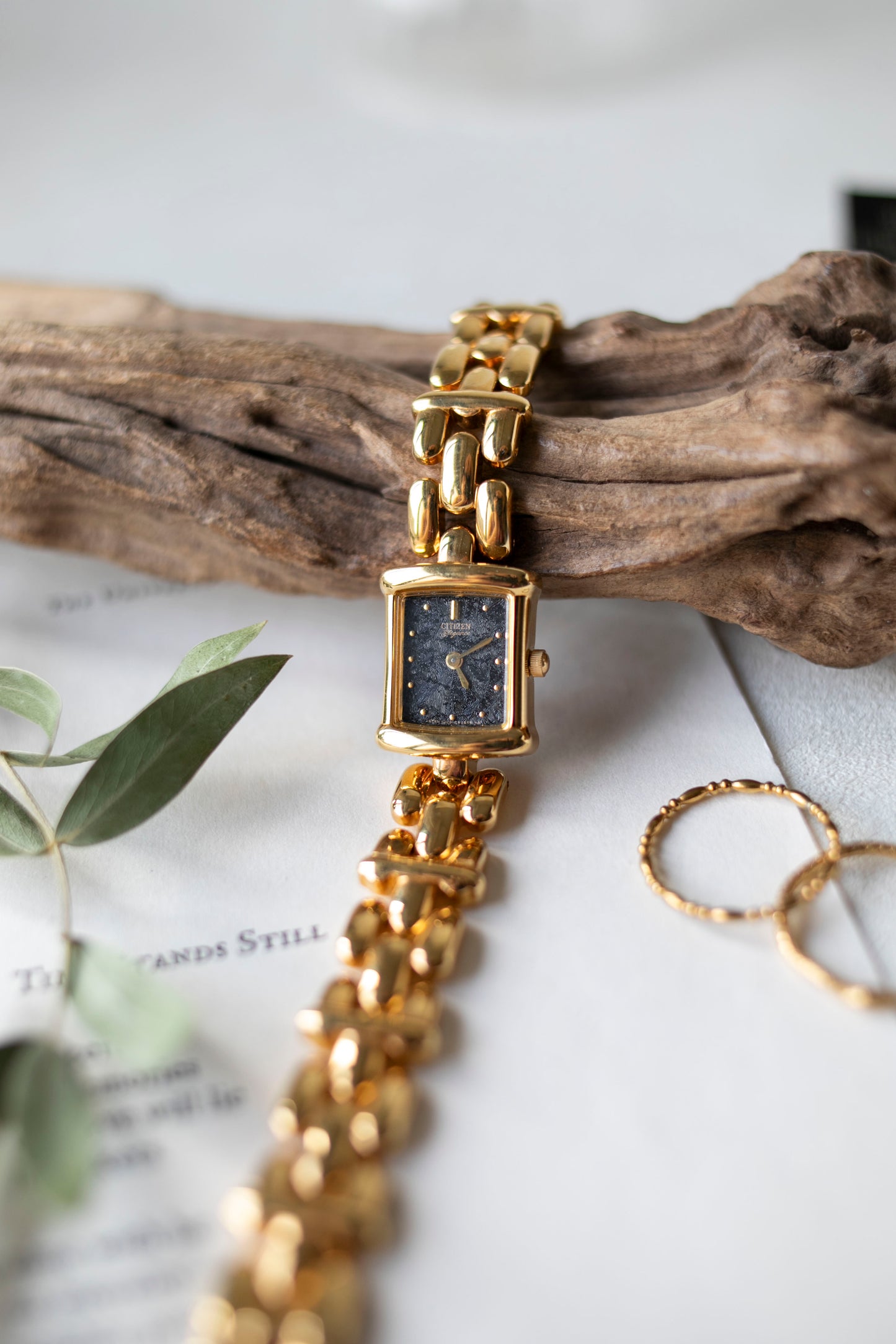 True Vintage: Citizen C12