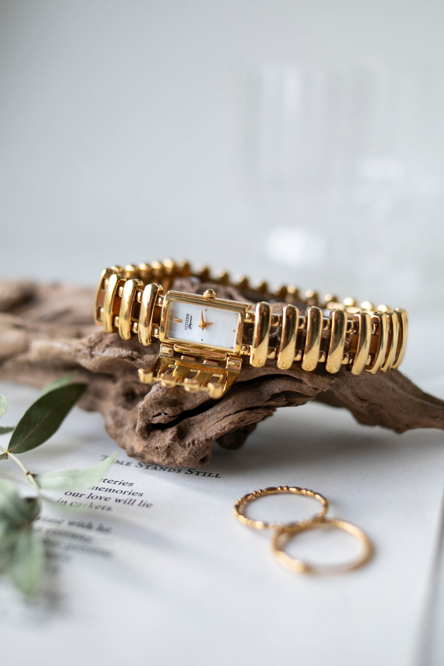 True Vintage: Citizen C15