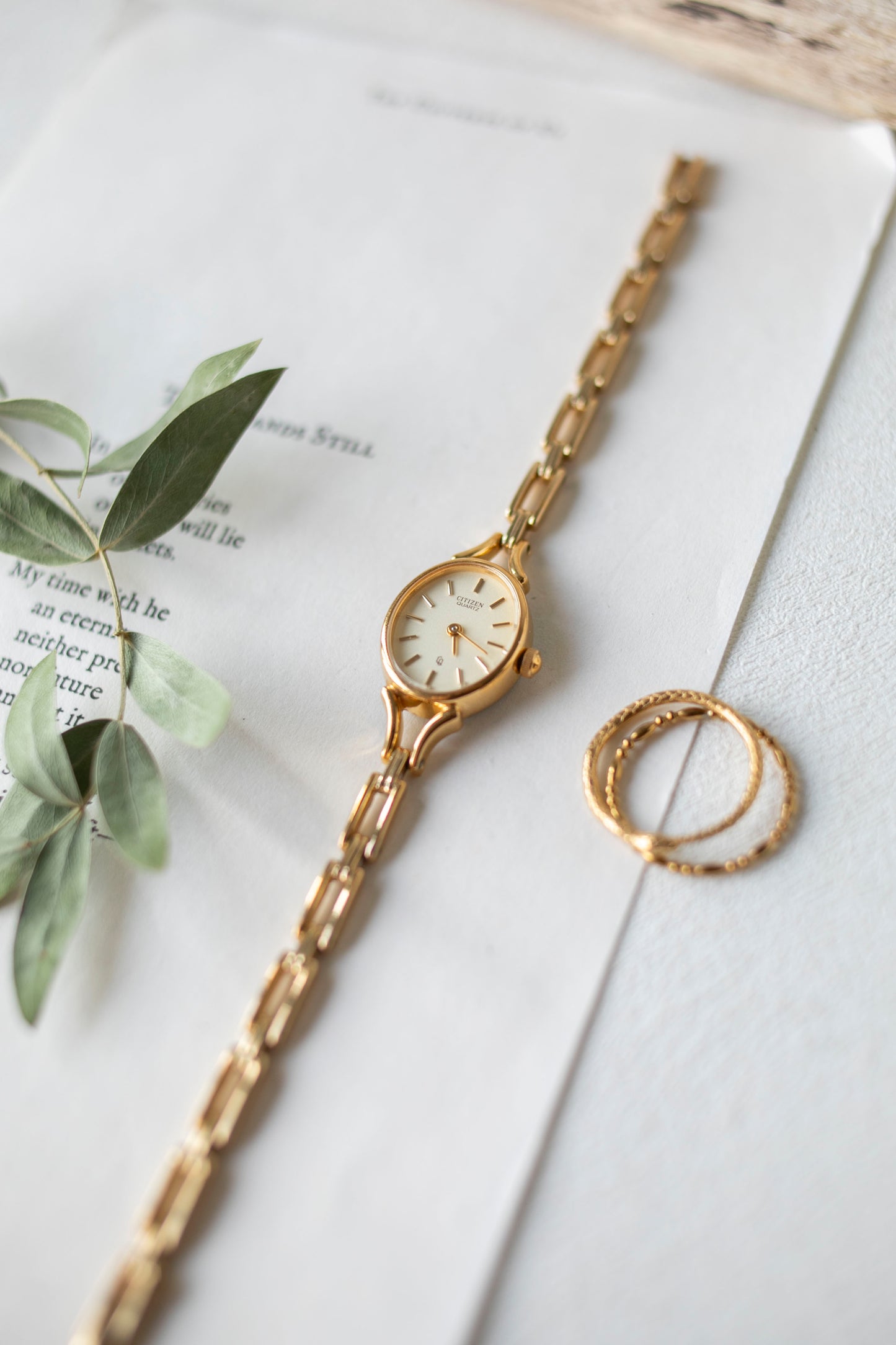 True Vintage: Citizen C19