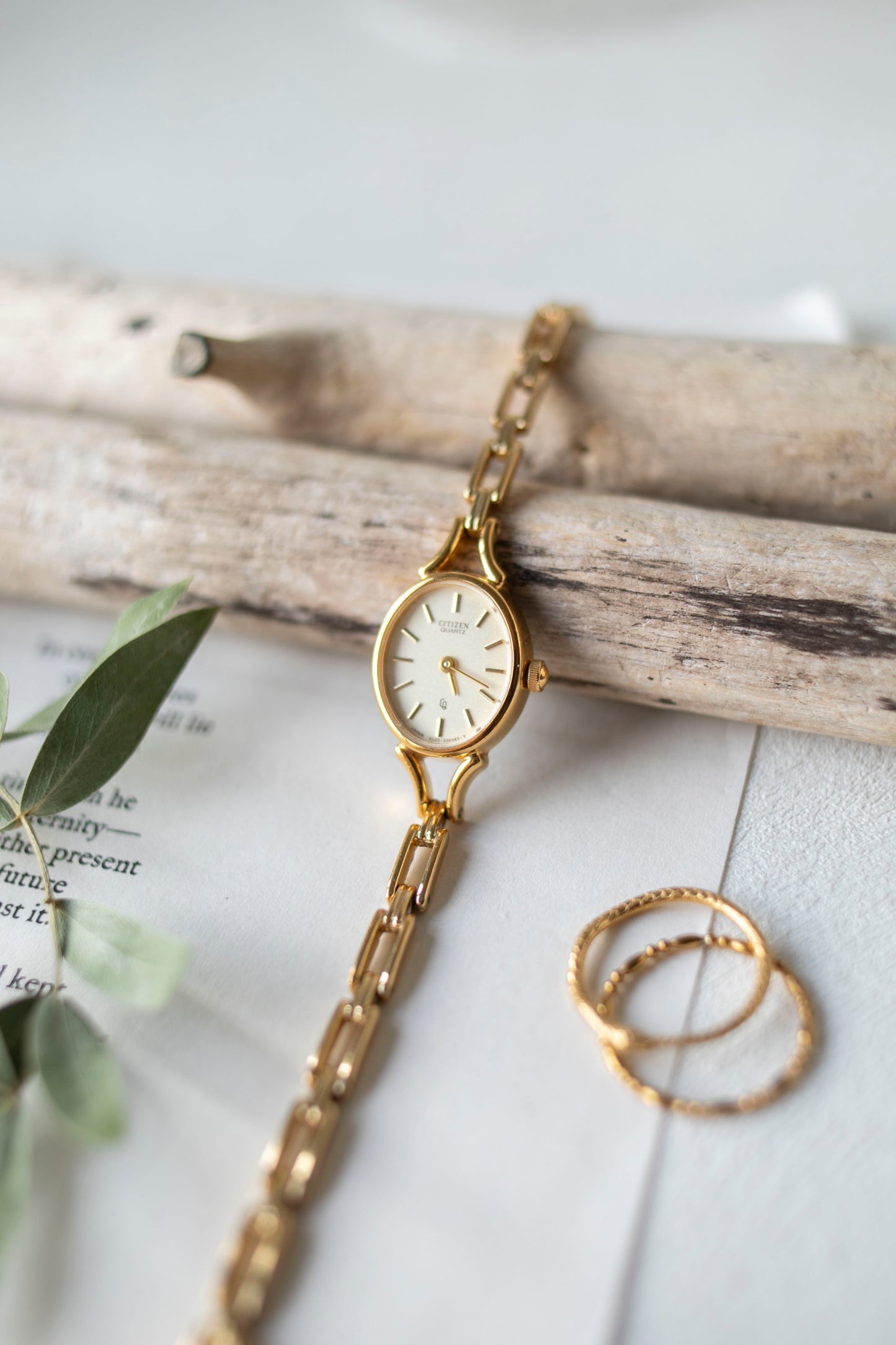 True Vintage: Citizen C19