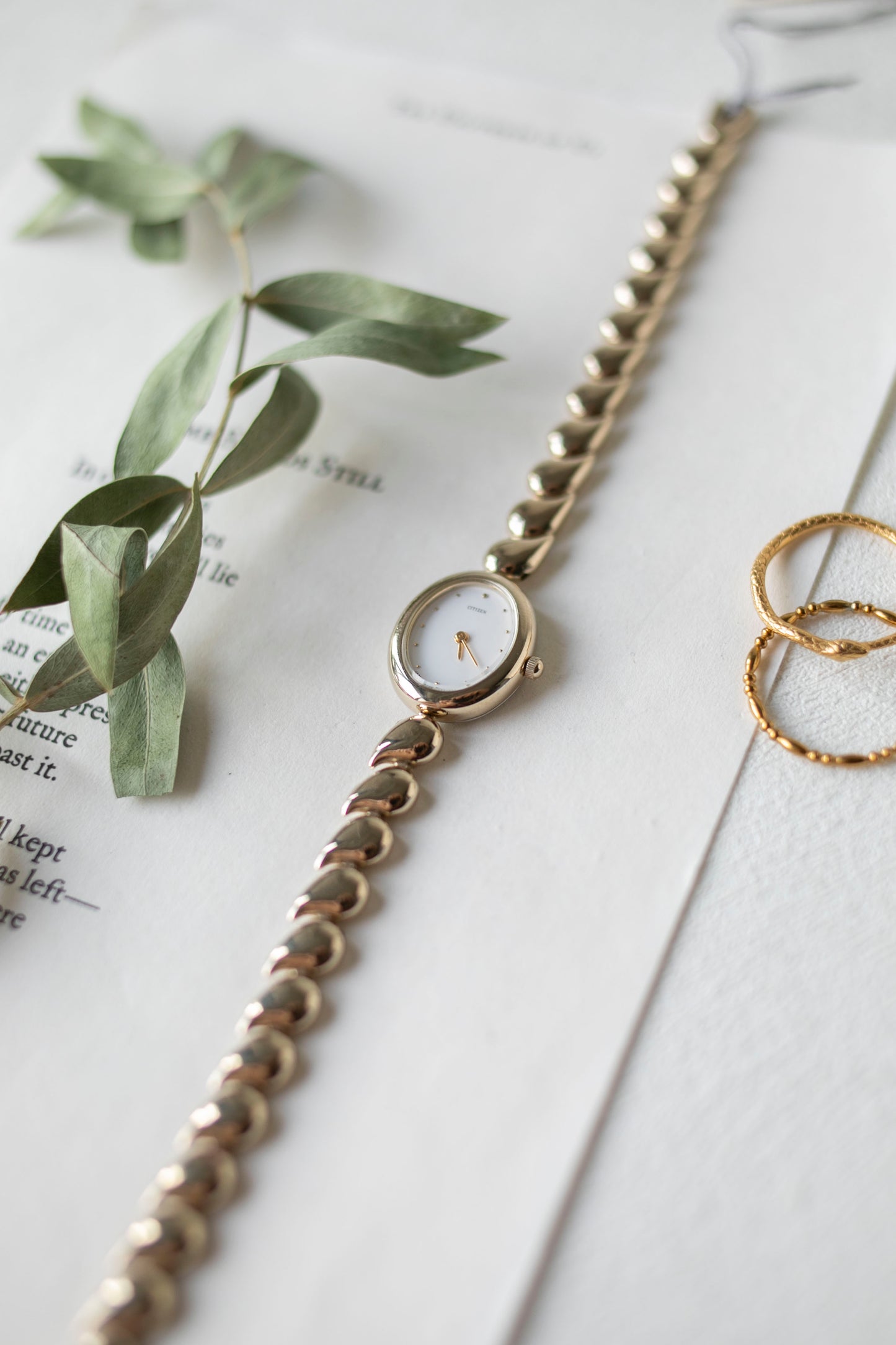 True Vintage: Citizen C22