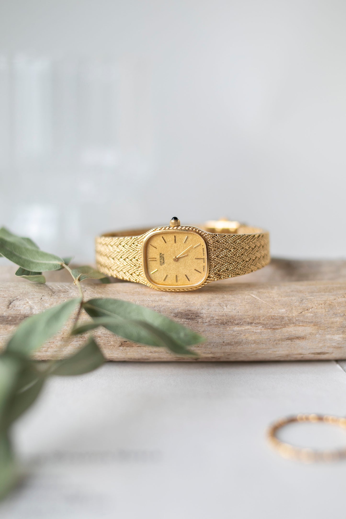 True Vintage: Citizen C25