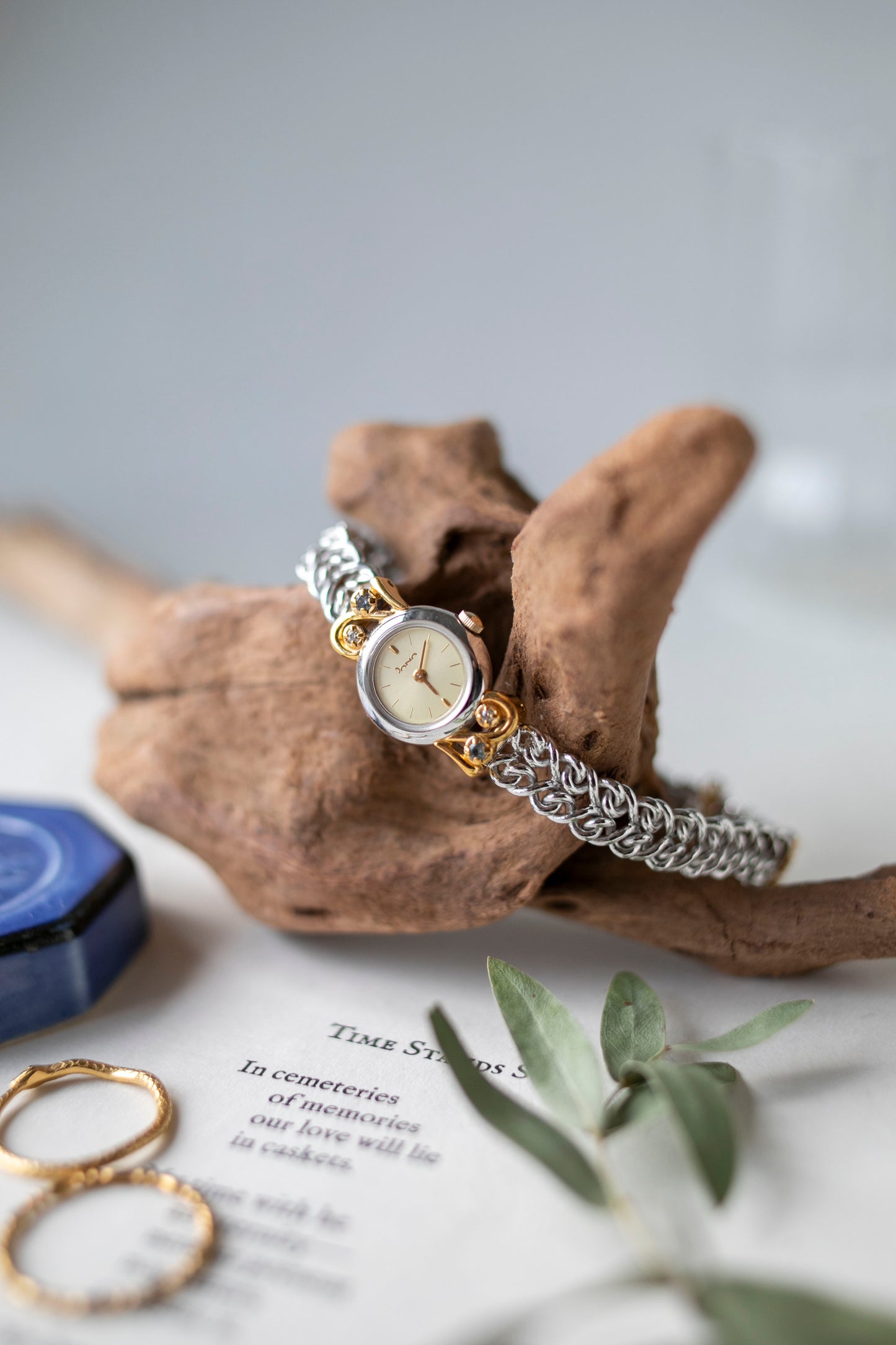 True Vintage: Dana D1