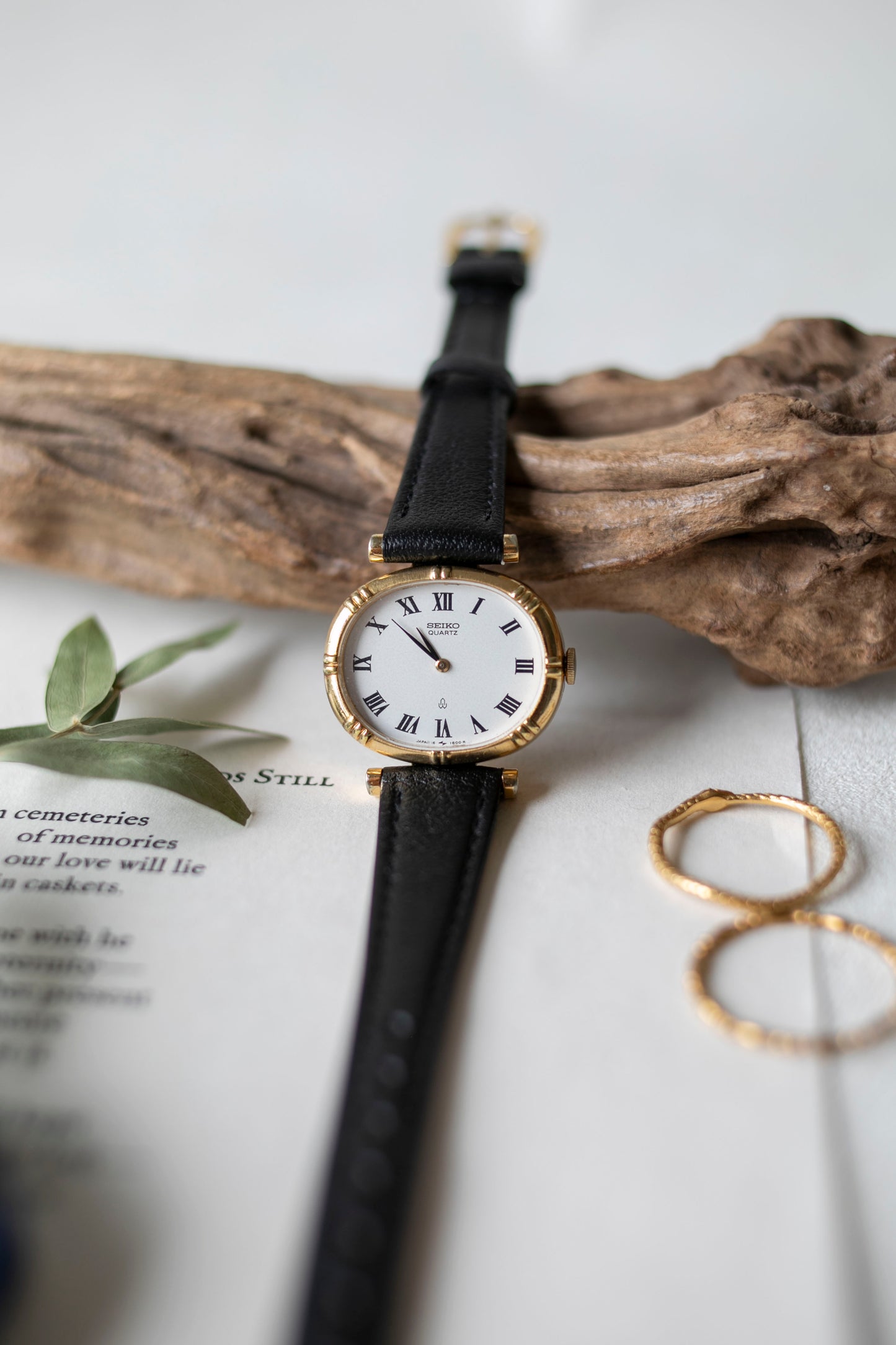 True Vintage: Seiko S317