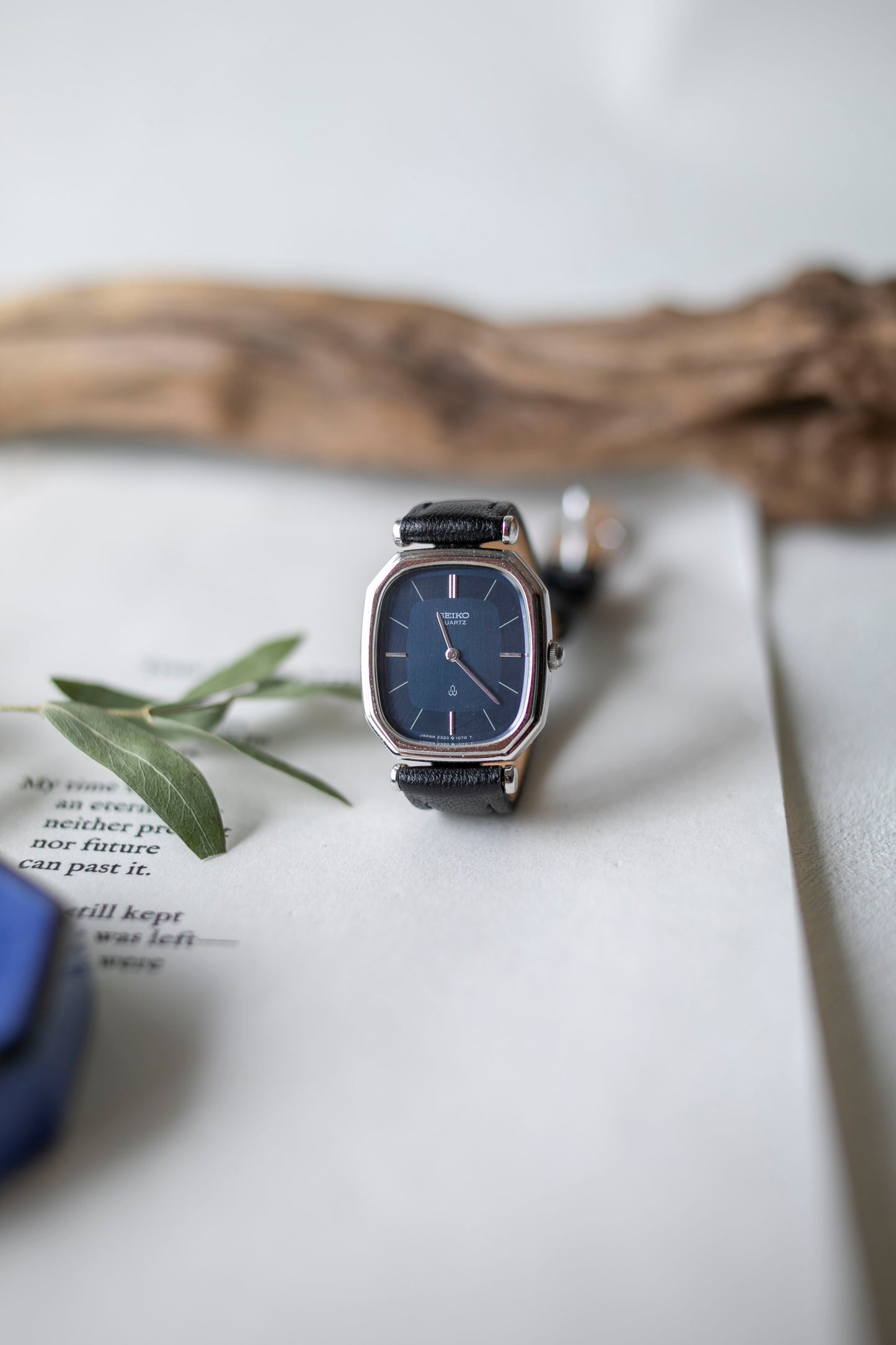 True Vintage: Seiko S299