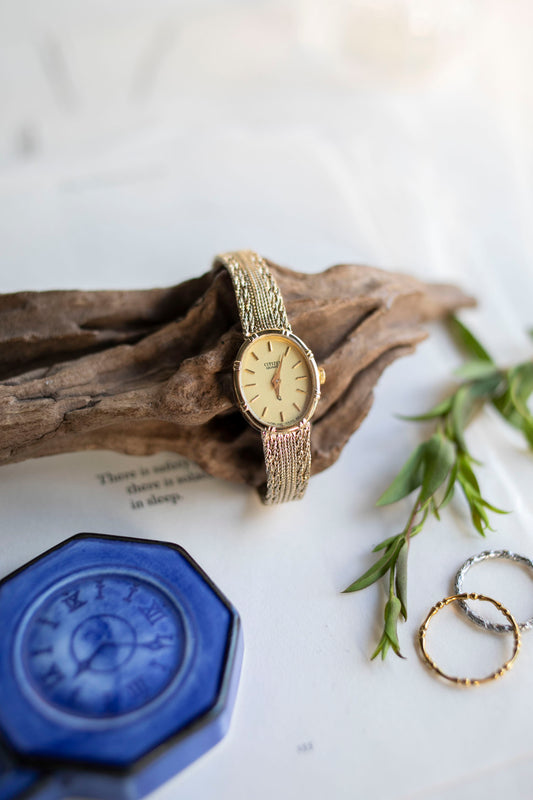 True Vintage: Citizen C67