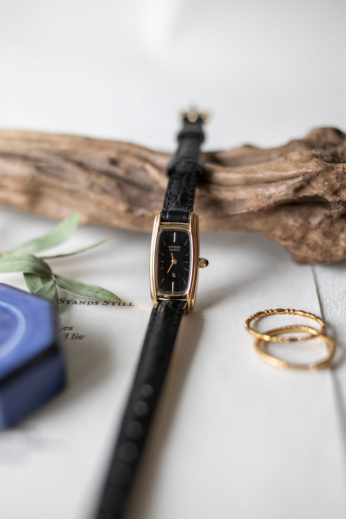 True Vintage: Citizen C36