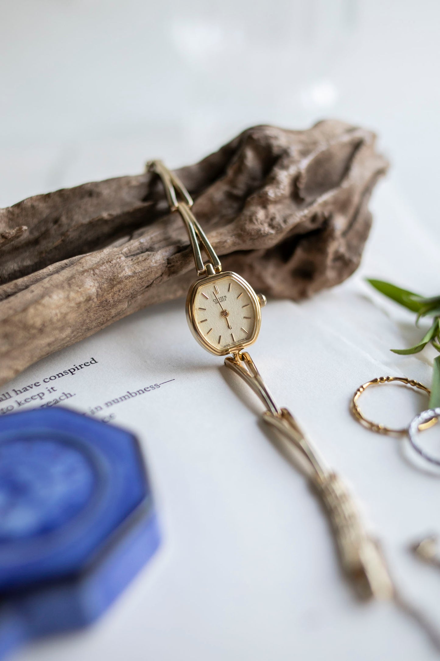 True Vintage: Citizen C83