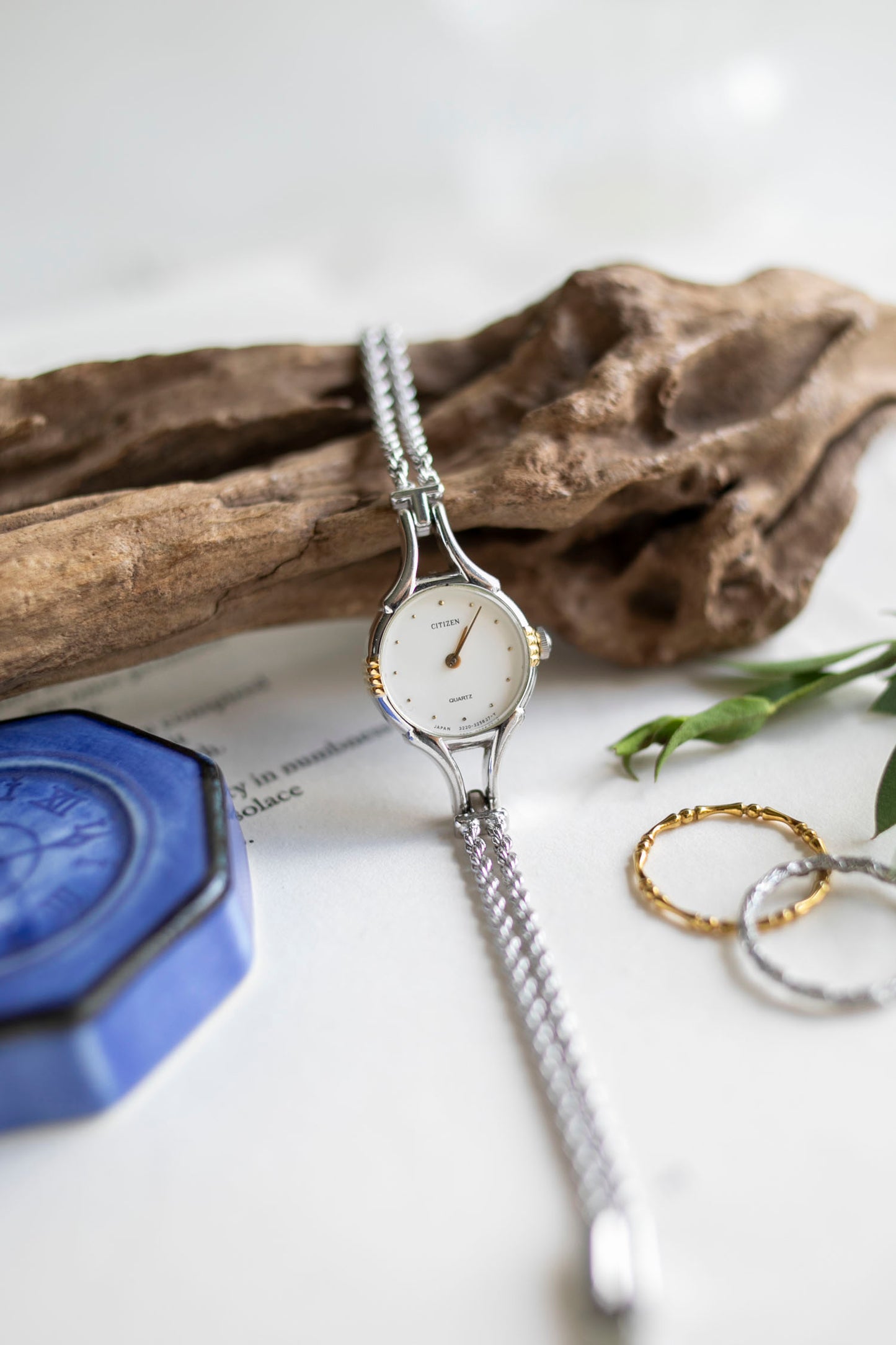 True Vintage: Citizen C97 (Silver)