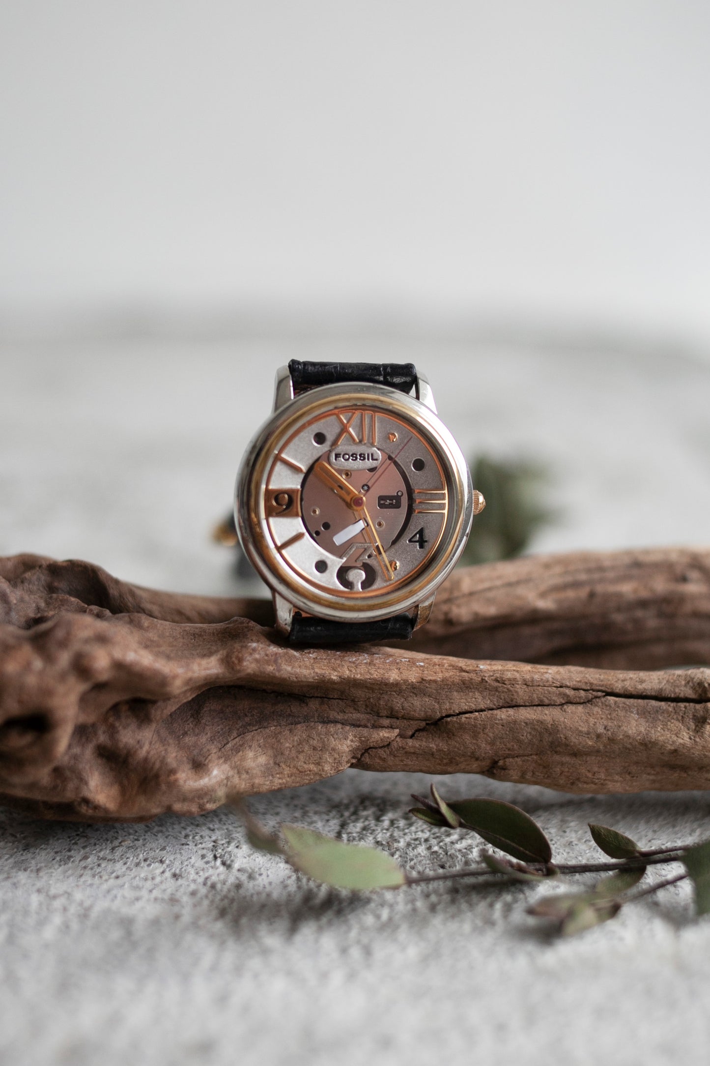 True Vintage: Fossil Clarity