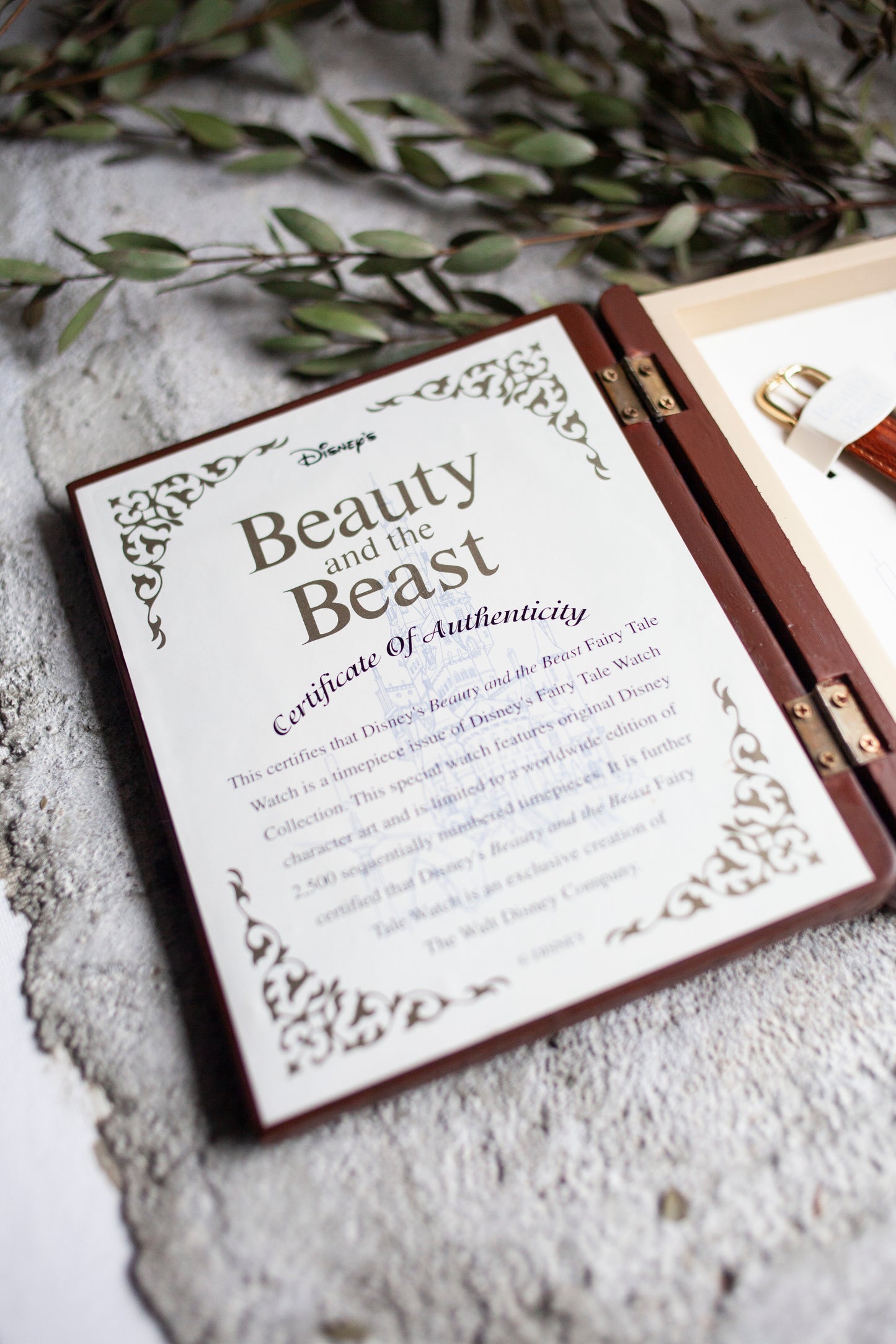 Premium Vintage: Beauty & the Beast
